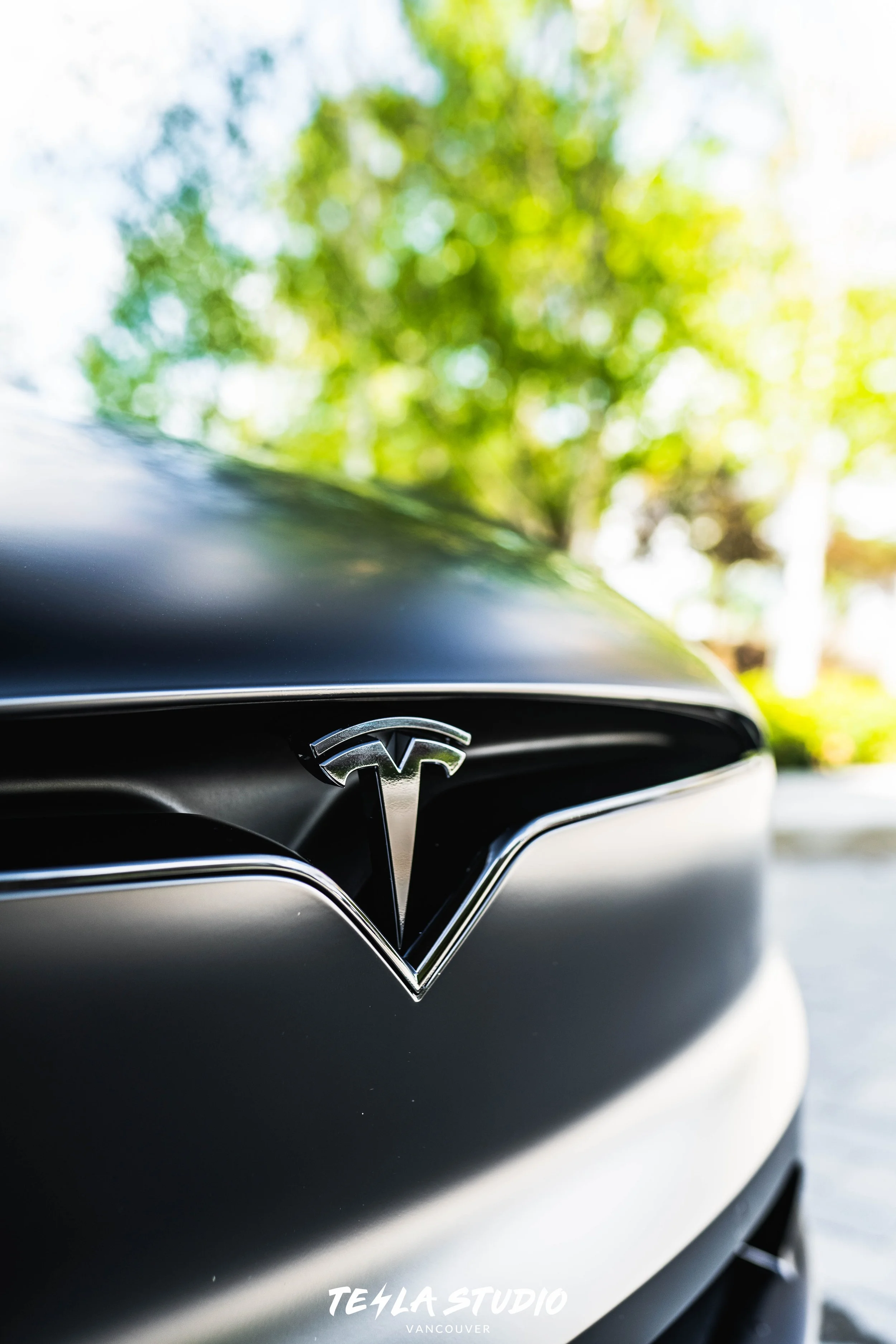 DSC09952.jpg