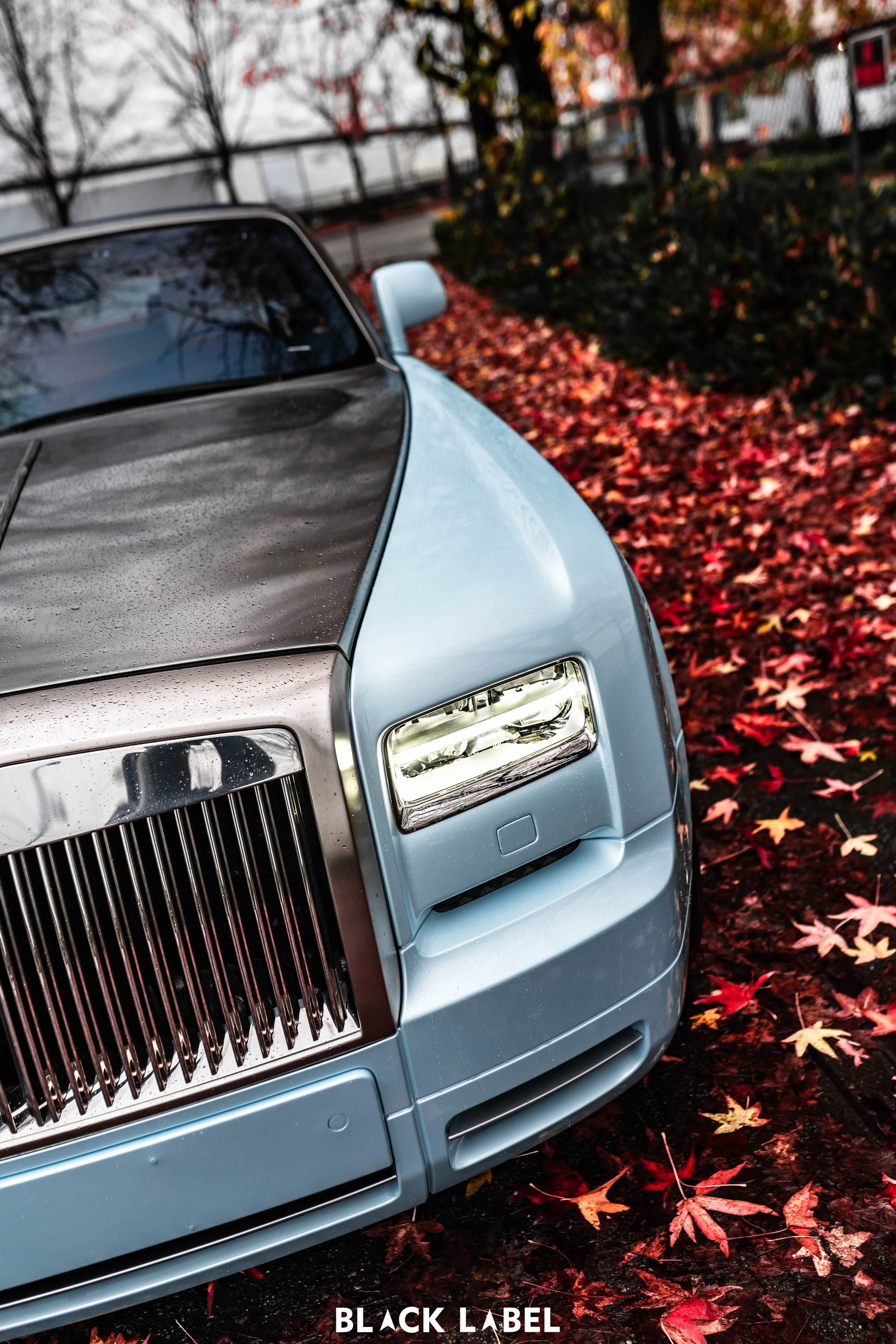 ROLLS ROYCE Drophead vinyl wrap