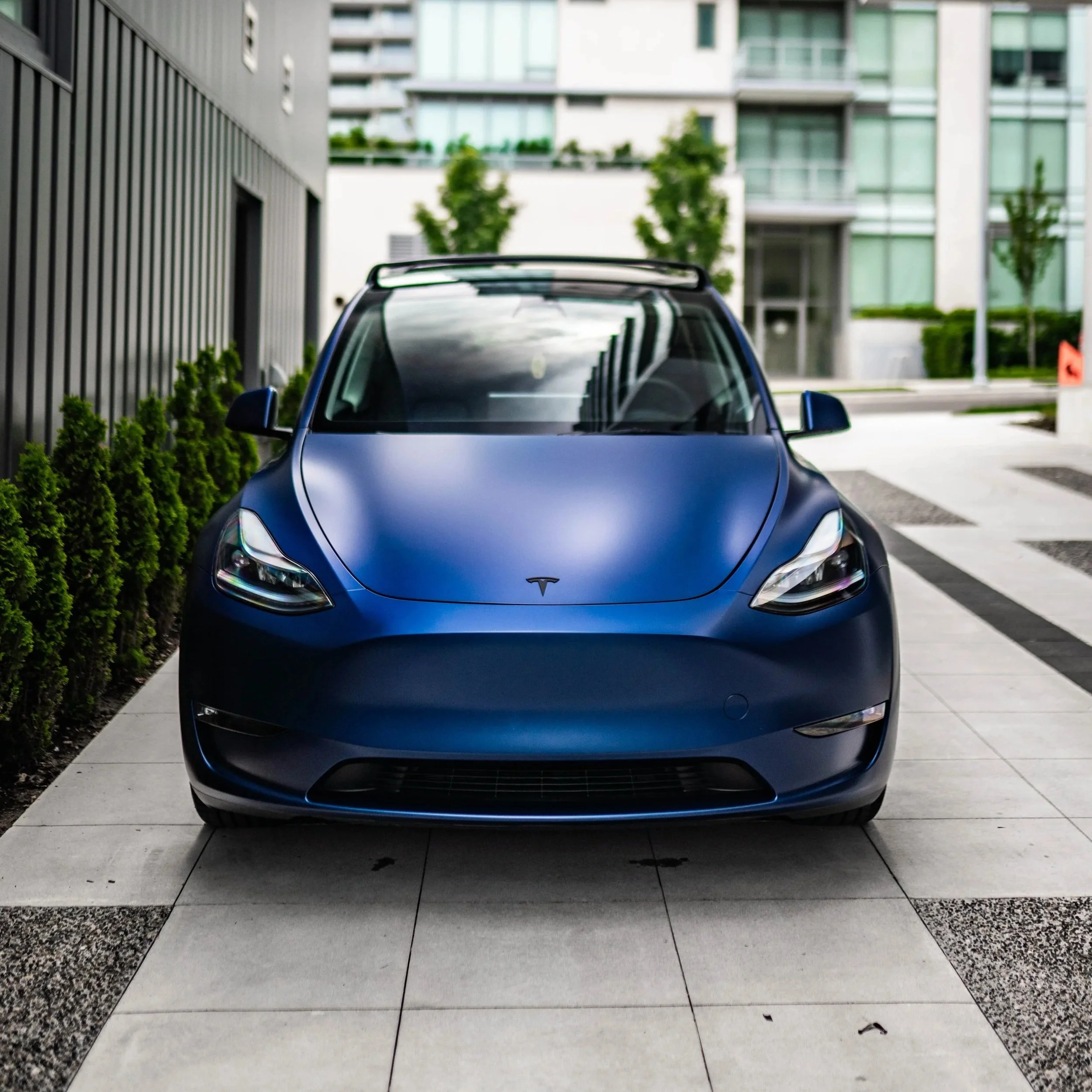 MODEL Y STEALTH PPF