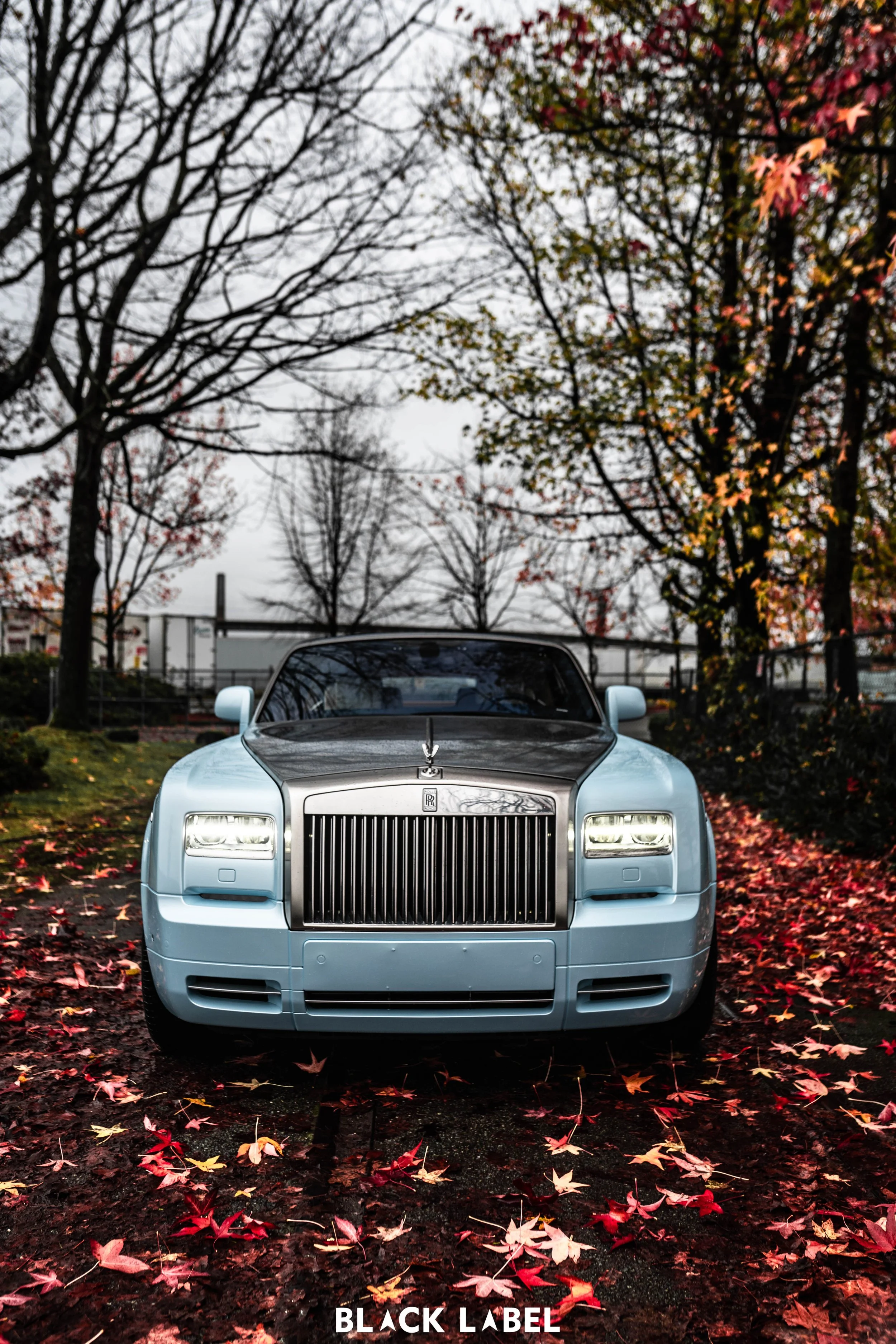 A silver luxury car parked on a muddy ground covered with red and orange fallen leaves, with trees and a fence in the background during autumn.