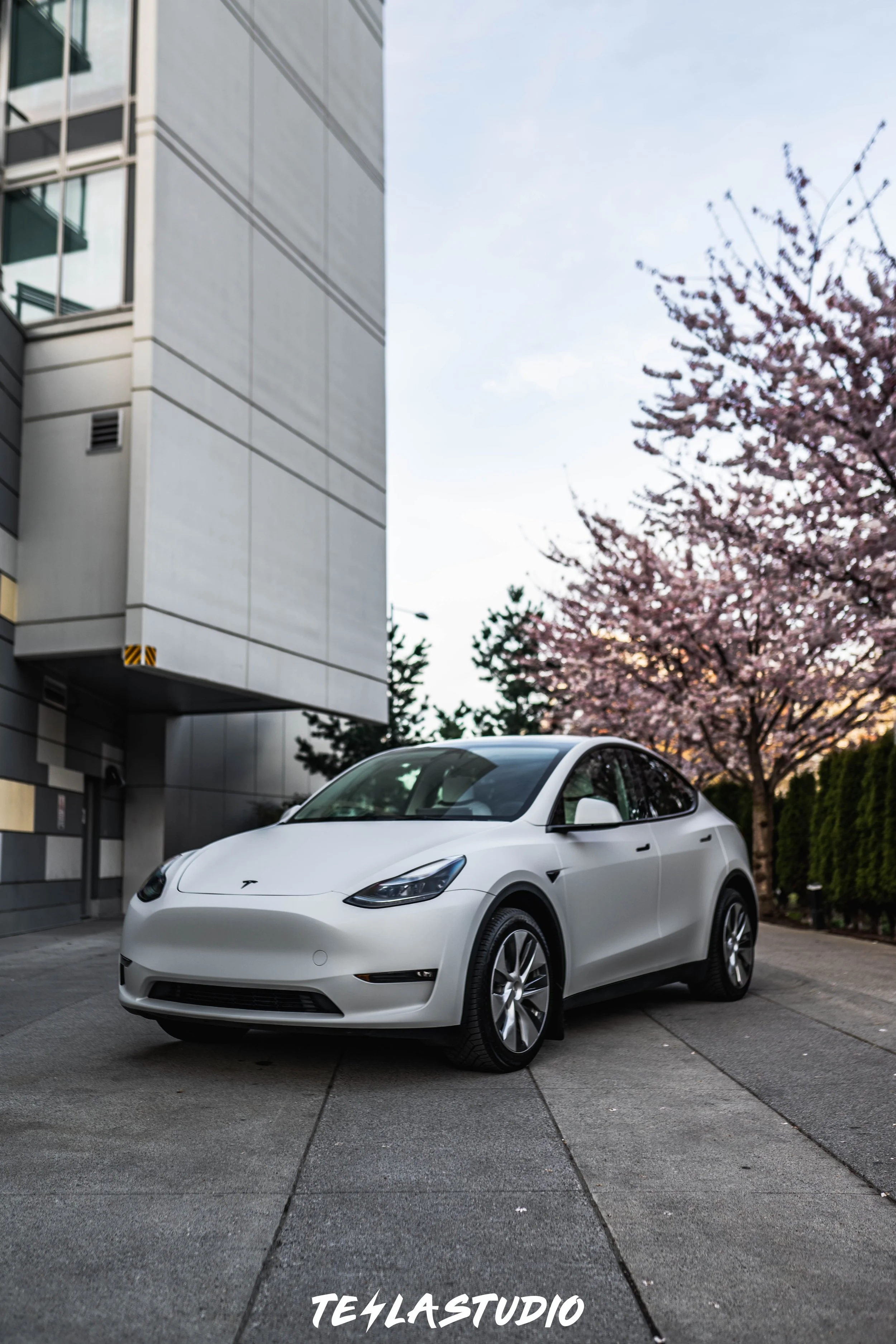 A white electric car parked on a driveway with pink flowering trees in the background and a modern building to the left.