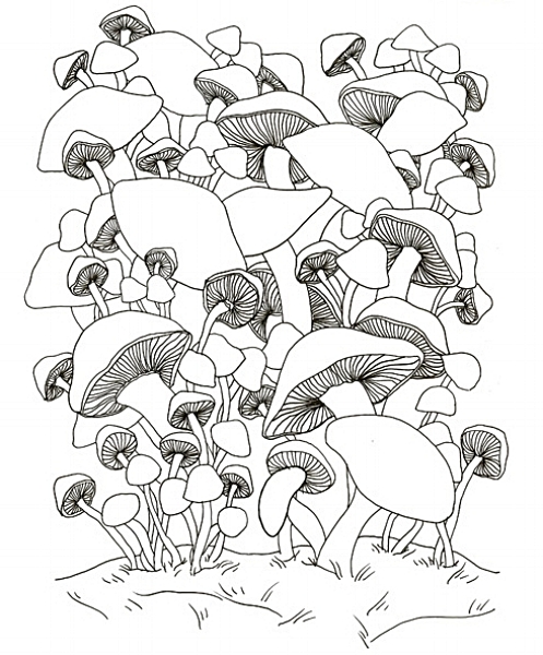 Mushrooms