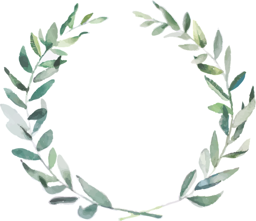 Olive branch.png
