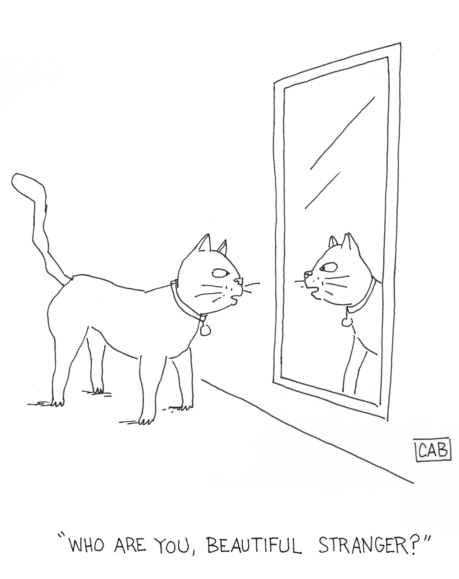 CAT-MIRROR-AGAIN.jpg