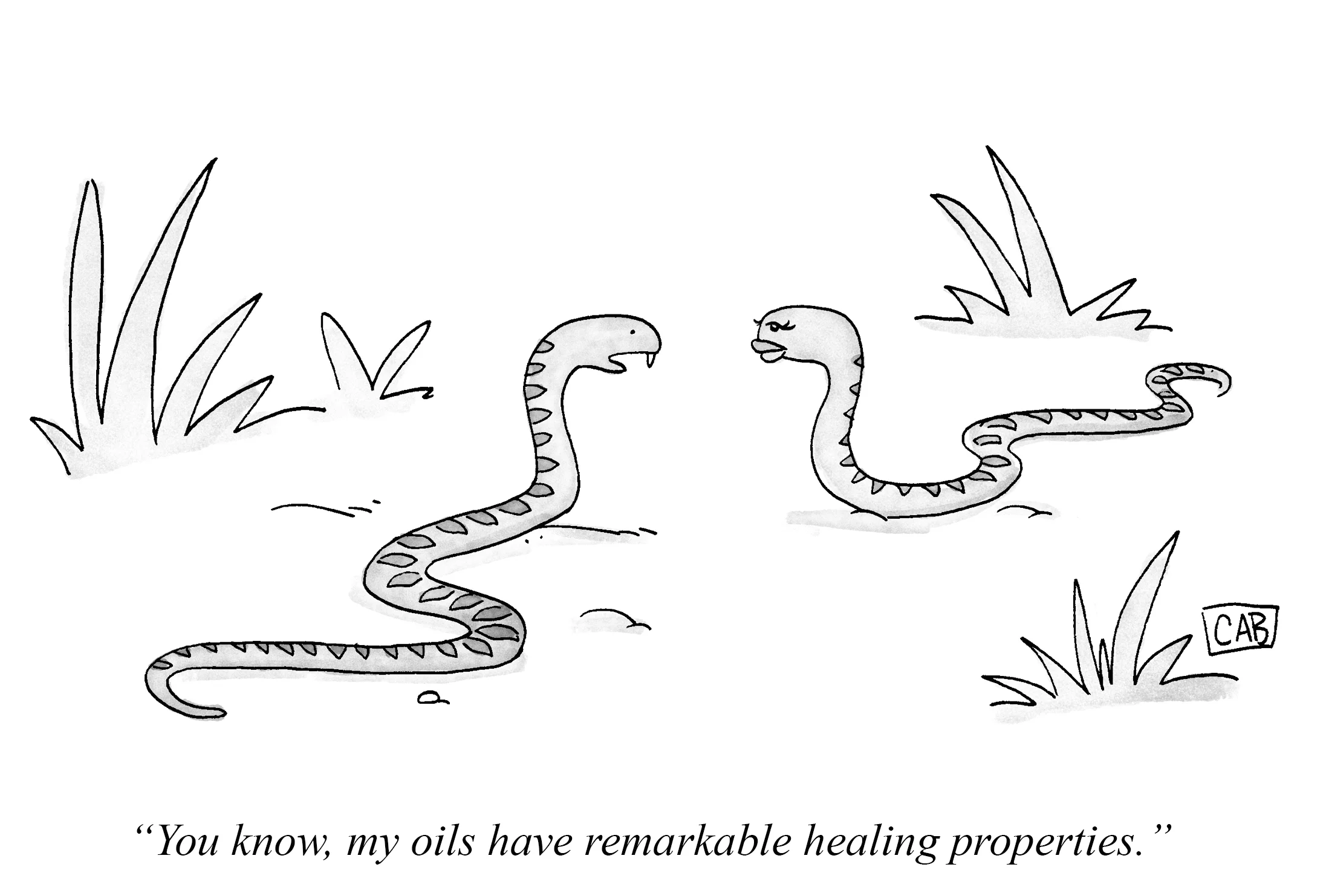 SNAKES-2.jpg