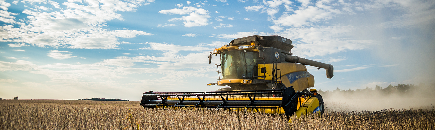 harvest-yellow-medium_YIELD-CONVERSION.png