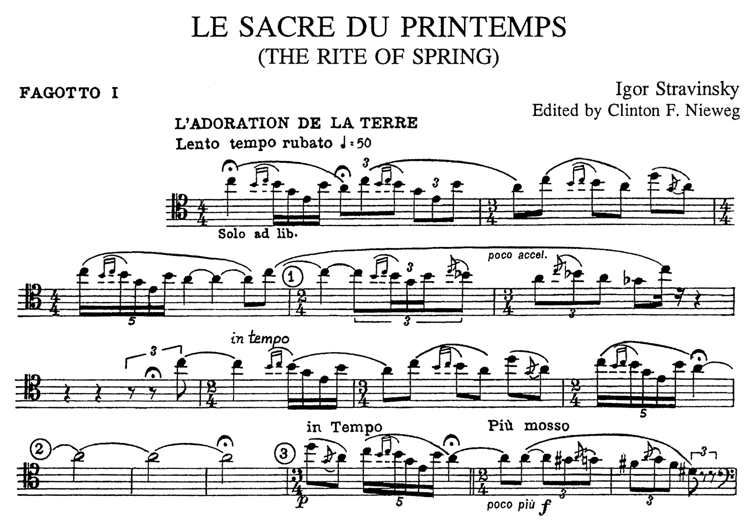 Bassoon rite cheap of spring