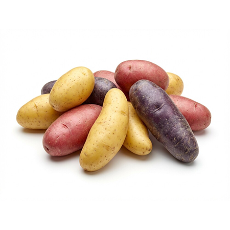A medley of colorful new fingerling potatoes, including yellow, red, and purple varieties.