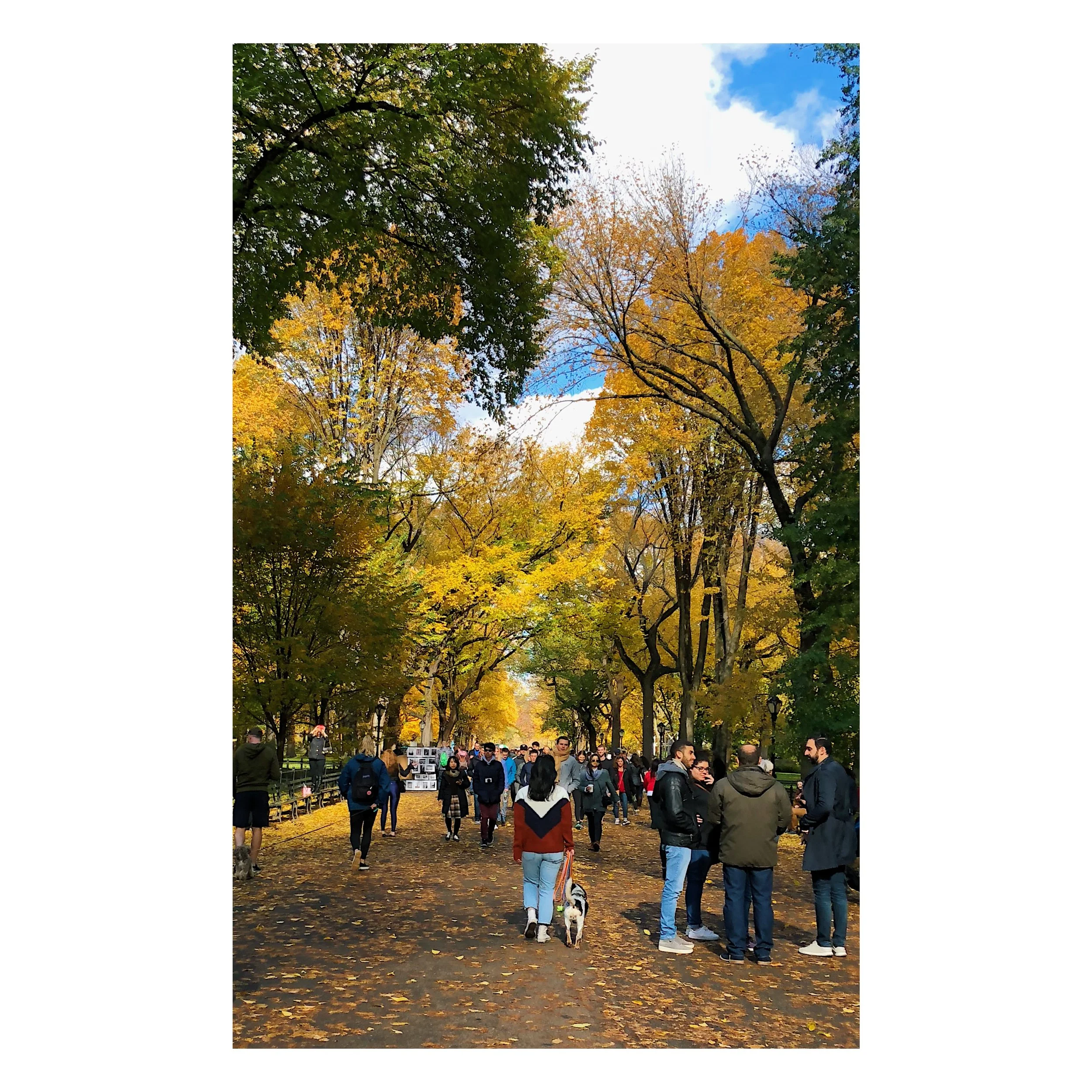 A14720B7-5328-403A-A1E0-8FEAD02ABE09.JPG