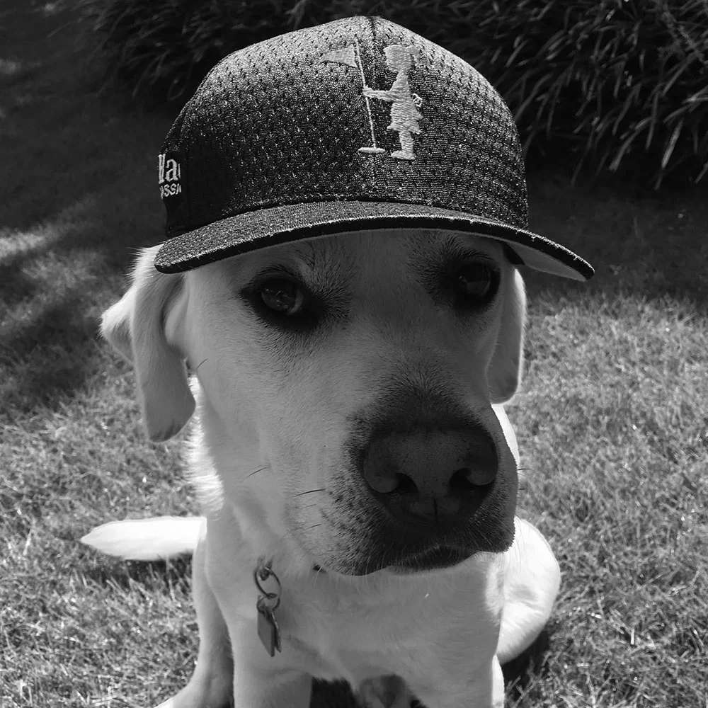 Huck B BW - Web SQ.jpg
