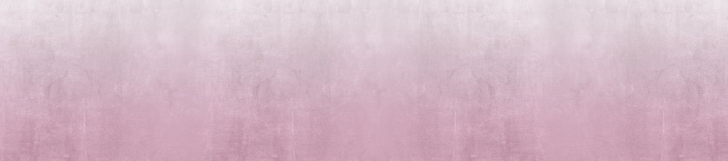 The CHNC Fun Run/Walk by Fore Hadley