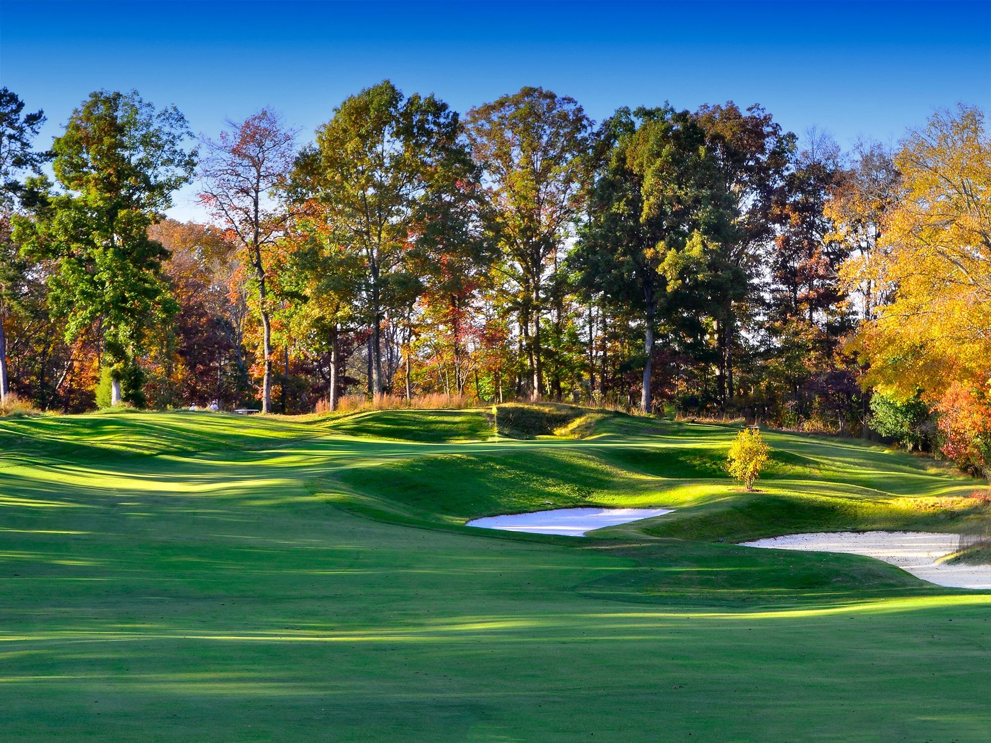 The Honors Course Chattanooga, TN