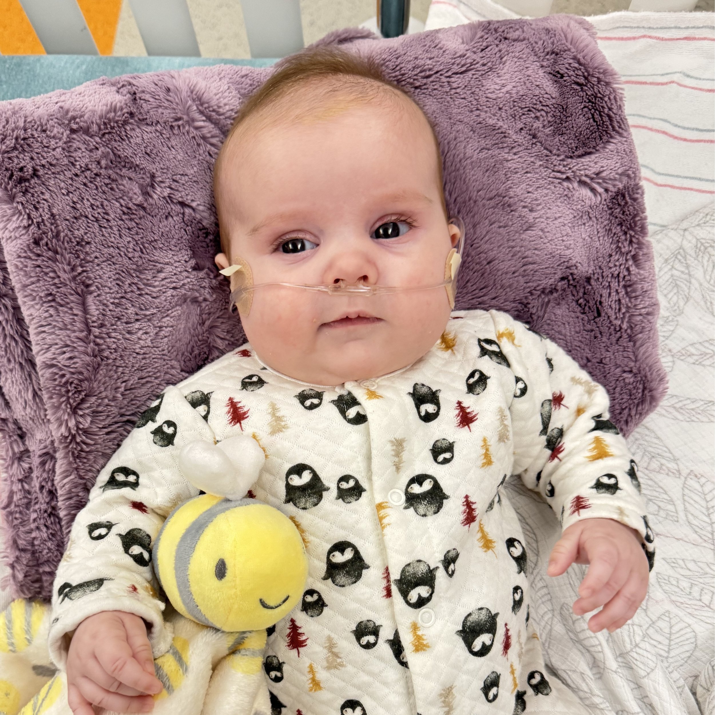 Baby Lyla Rose
