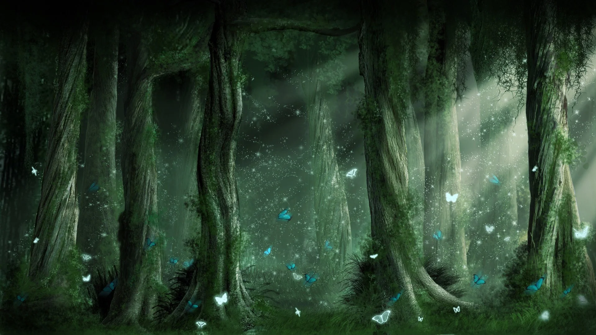 Midsummer Nights.jpg
