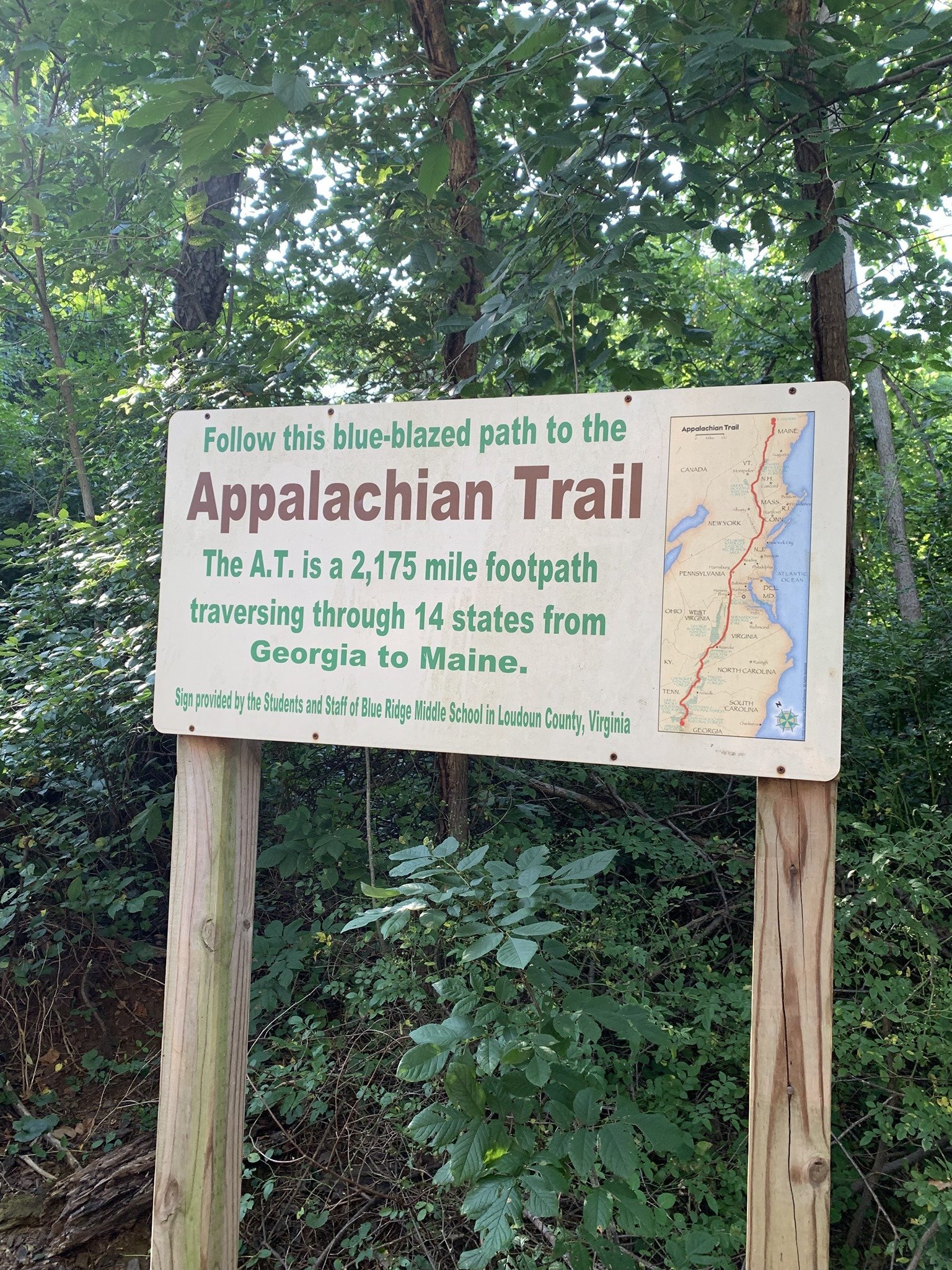 Wendy Zook Photography | Hiking the Appalachian Trail, Appalachian Trail, hiker, outdoor hiking, hiking trail, hiking with friends