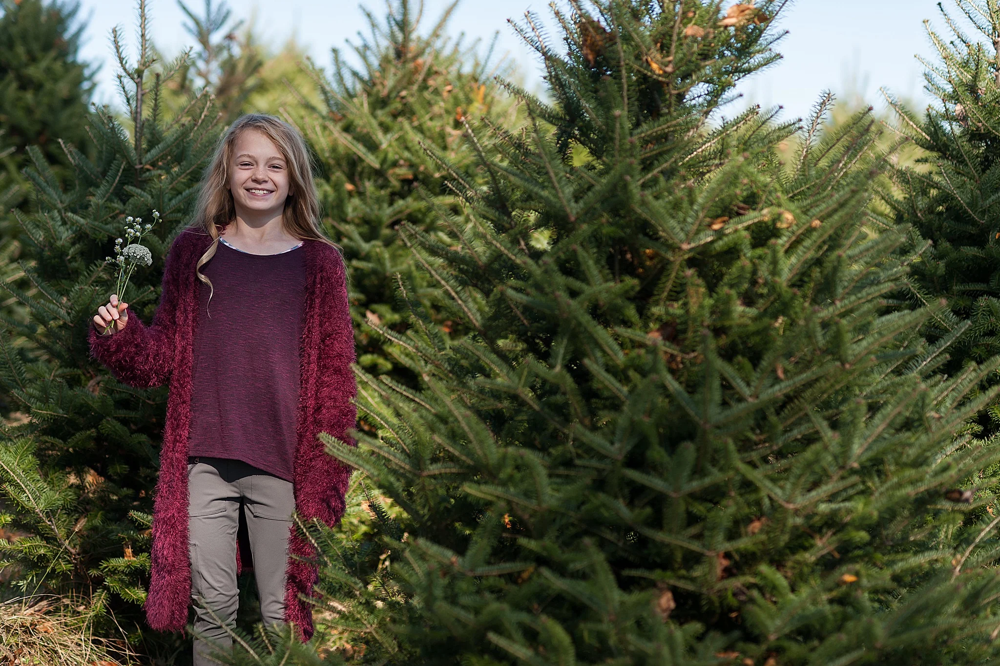 Wendy Zook Photography | Frederick MD family photographer, Frederick Maryland family photographer, Christmas Tree farm family portraits, family portraits in Maryland, Maryland family photos, MD family portraits, Frederick Maryland family session