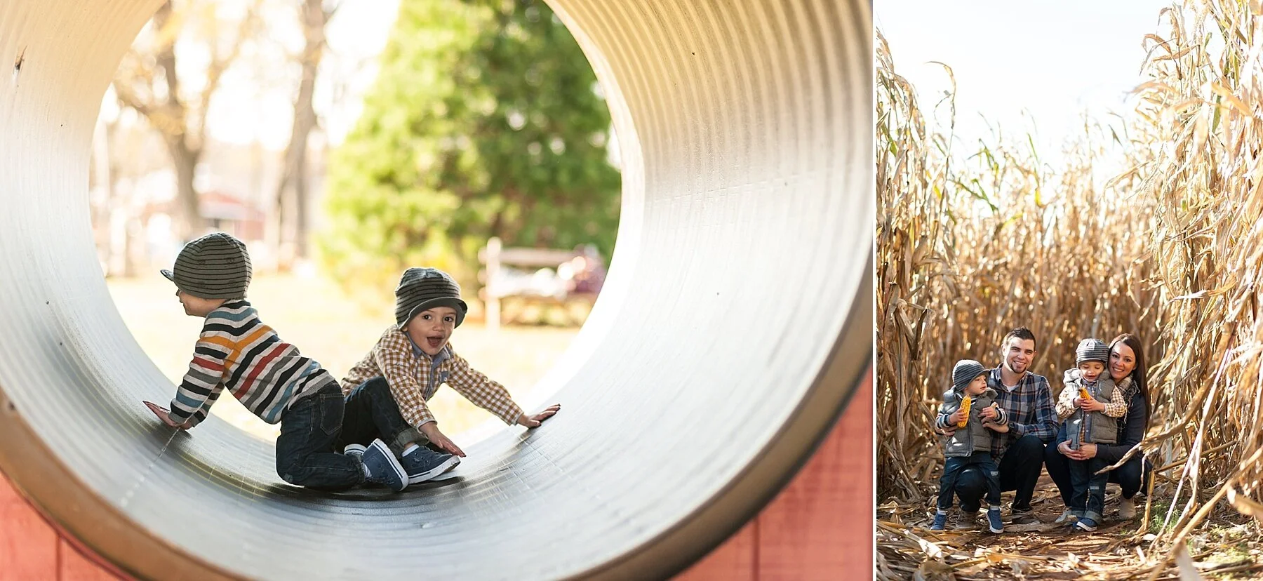 Wendy Zook Photography | Frederick MD family photographer, Frederick Maryland family photos, Christmas card photo tips, tips for Christmas cards, holiday tips, Christmas holiday season