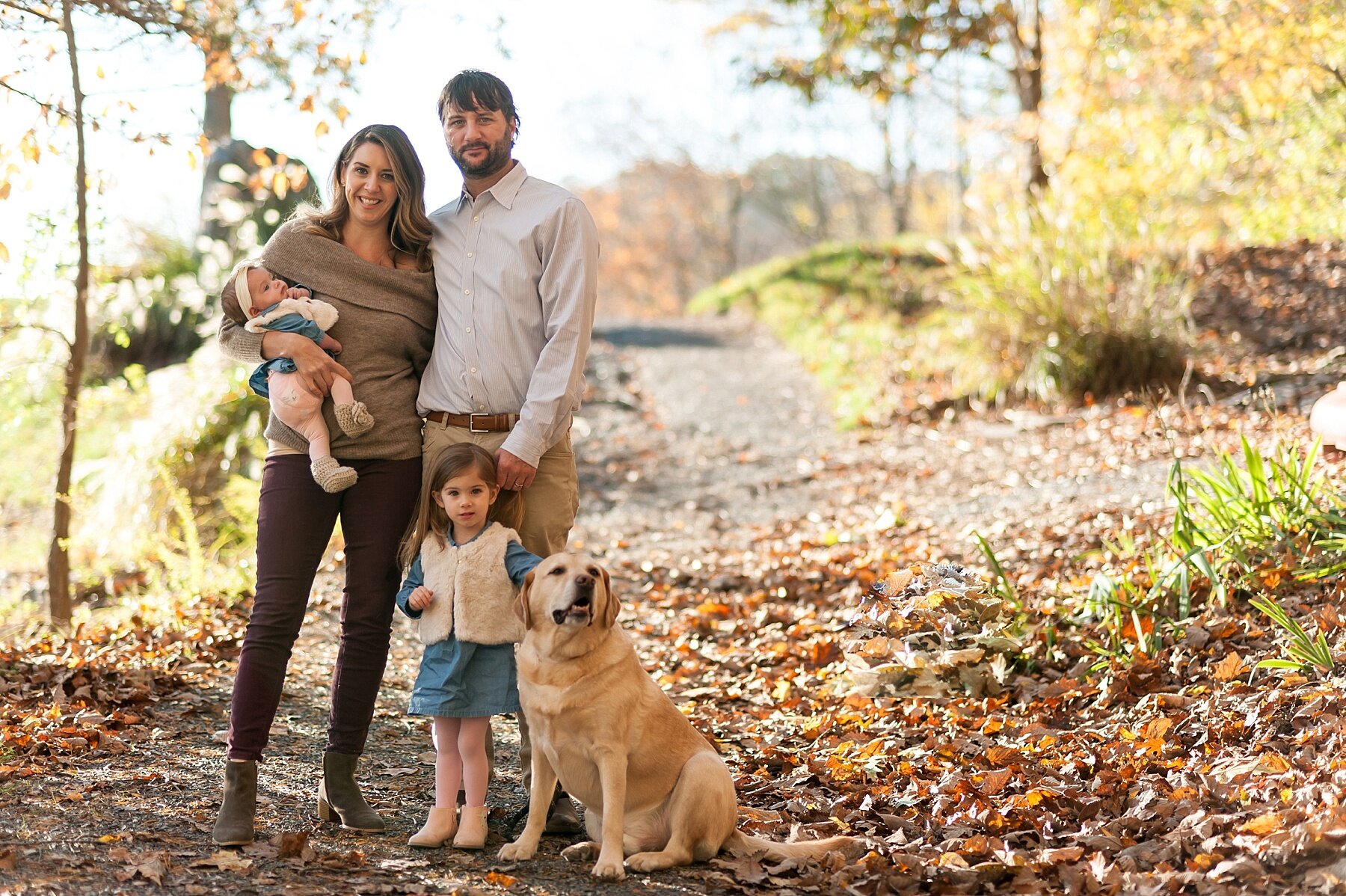 Wendy Zook Photography | Frederick MD family photographer, Frederick Maryland family photos, Christmas card photo tips, tips for Christmas cards, holiday tips, Christmas holiday season