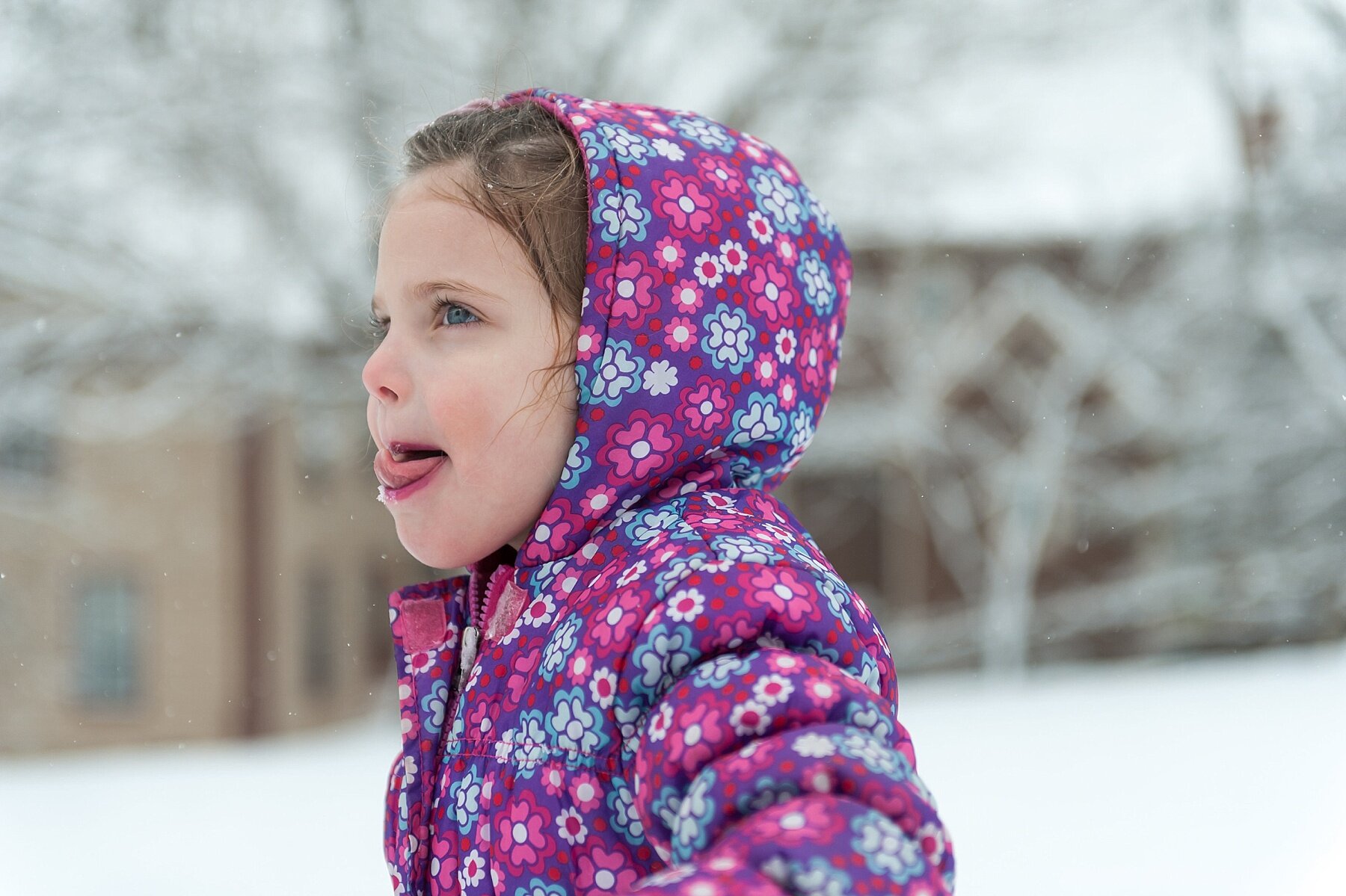 Wendy Zook Photography | Frederick Maryland family photographer, Frederick family photographer, MD family photographer, snow portraits, Frederick MD snow portraits, fun in the snow, photographs in the snow, snow session in Frederick MD