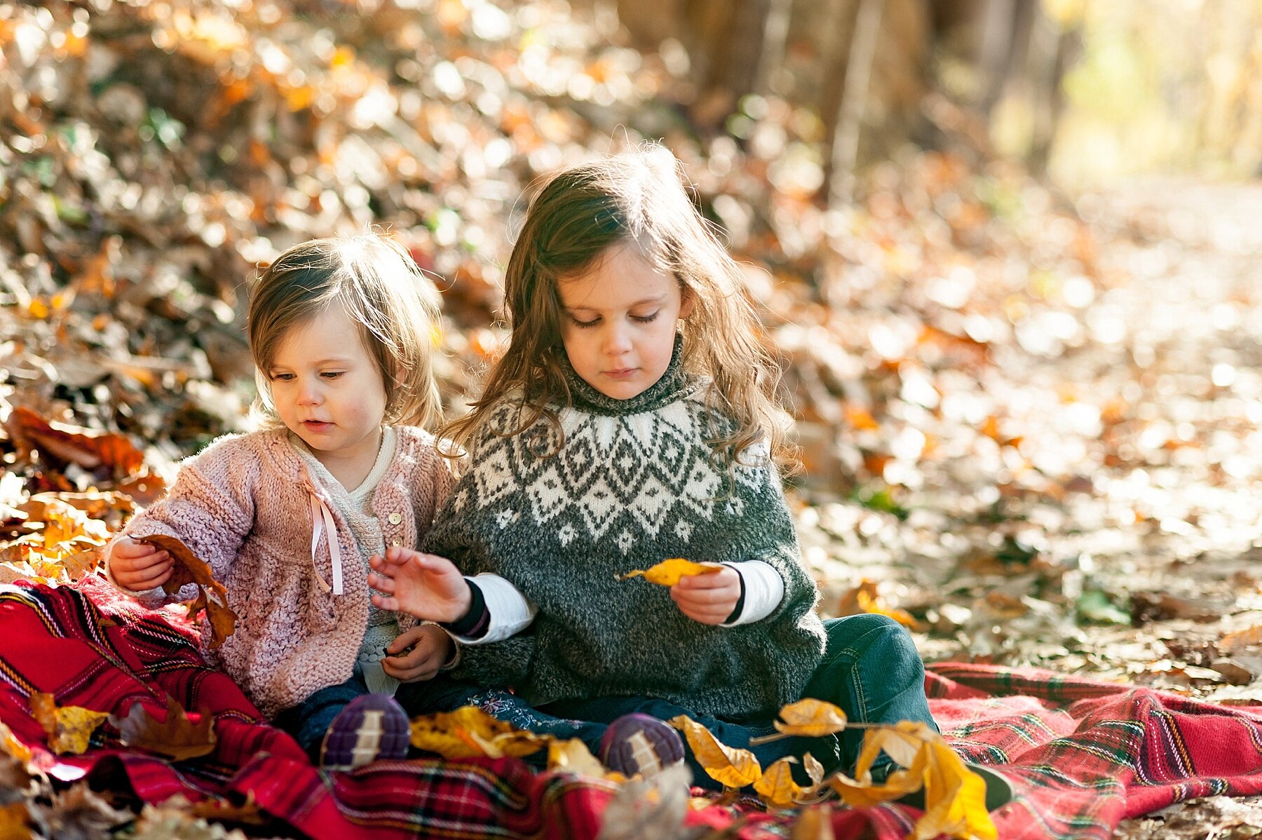 Wendy Zook Photography | Frederick Maryland family photographer, Frederick Family photographer, Maryland family photographer, MD family photographer, Frederick family photos, fall family photos in Frederick MD, Lake Linganore family photos, Lake Linganore