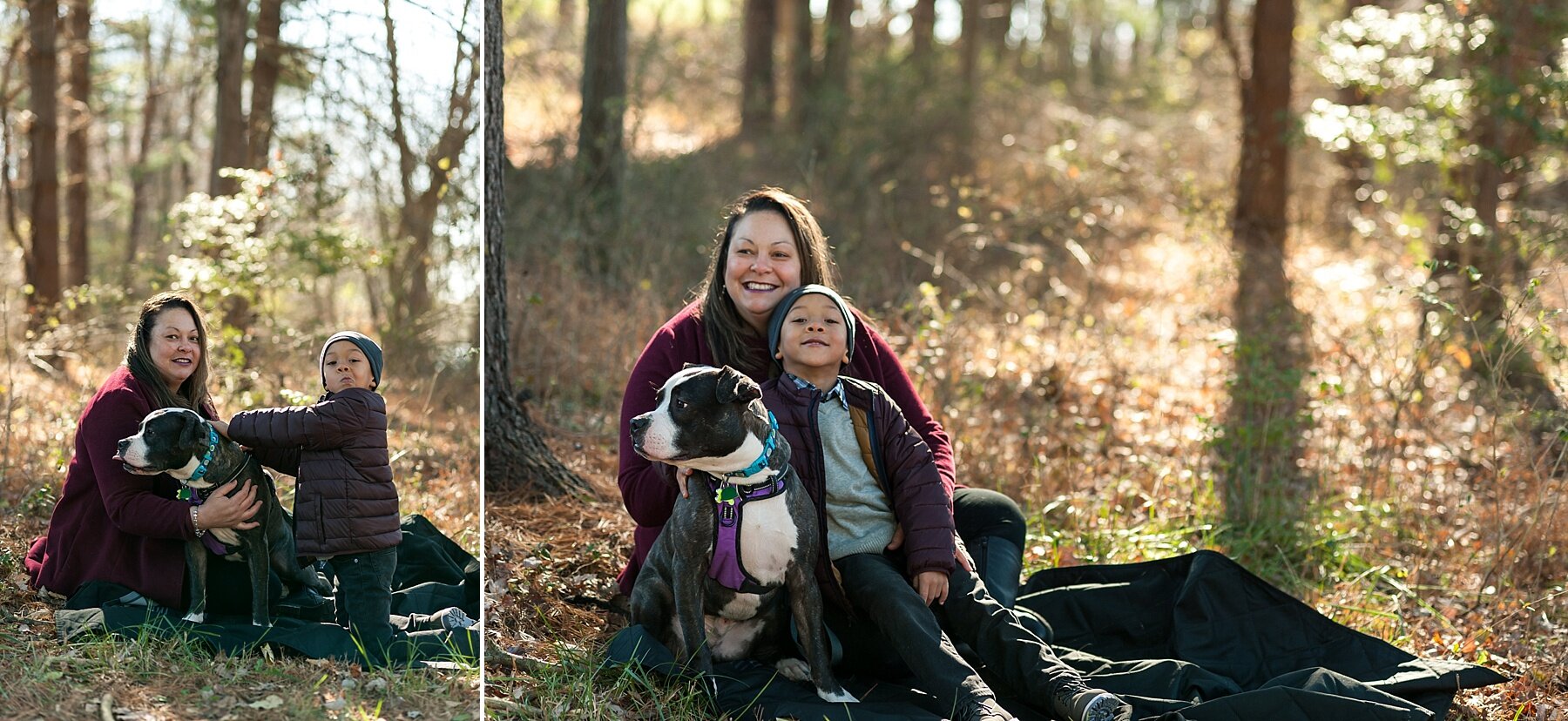 Wendy Zook Photography | Lake Linganore family portraits, lakeside family photos, family photos with dogs, family photos with aunt, Lake Linganore MD family photos, family photos in Maryland, Frederick MD family photographer, family photos in the fall, family photos in the woods