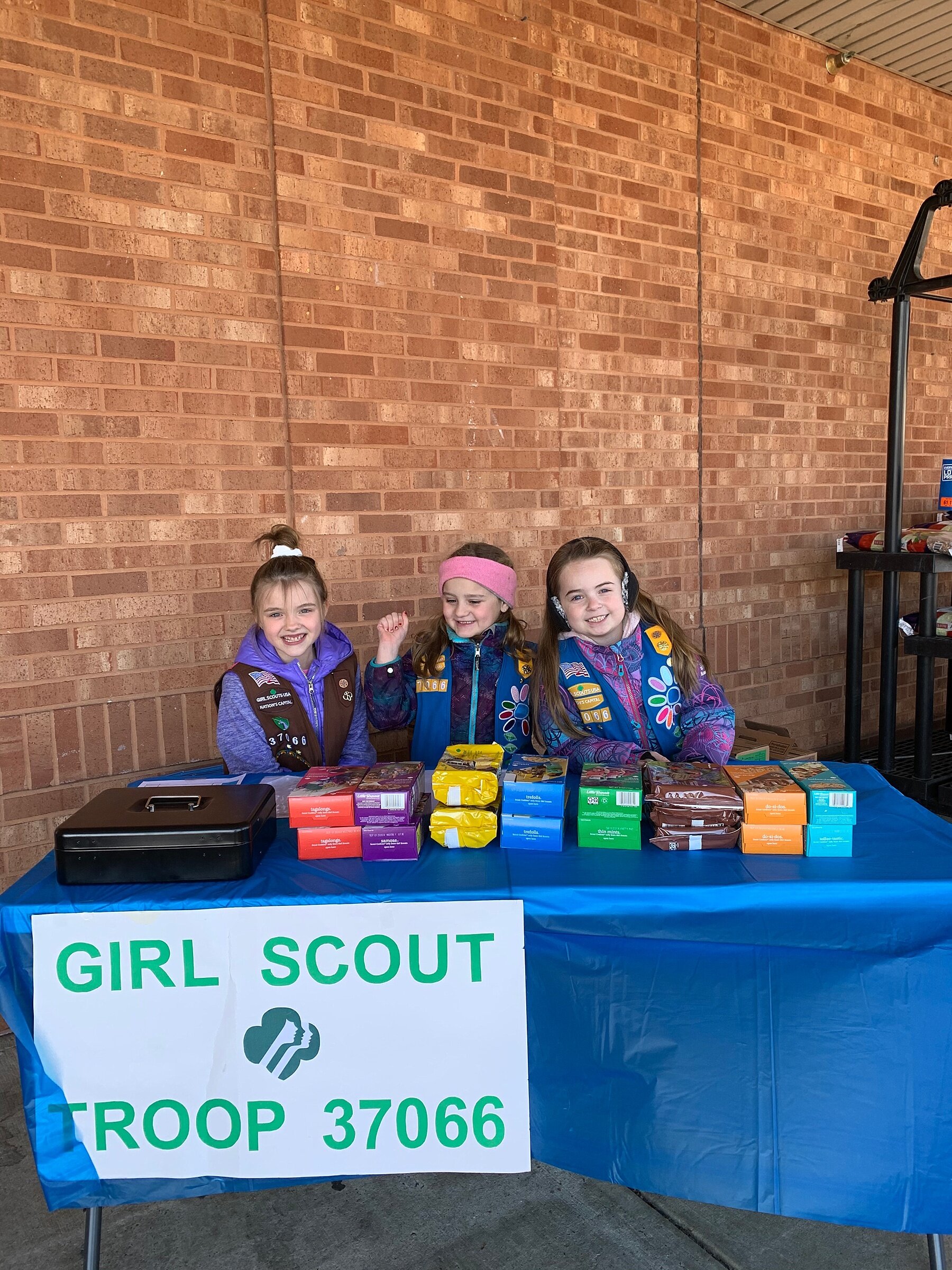 Girl Scouting, Brownie and Daisy Girl scout, learning from Girl Scouts, what Girl Scouts taught us