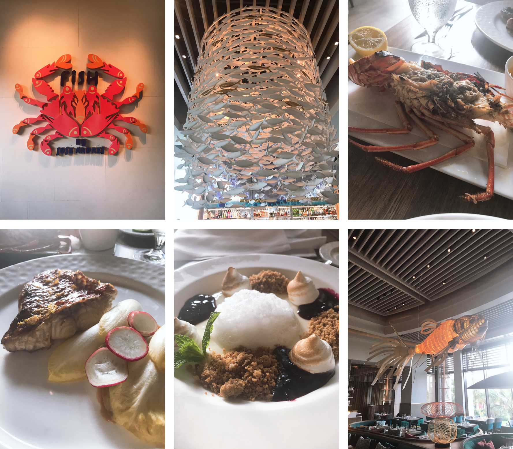 jose andres fish.png