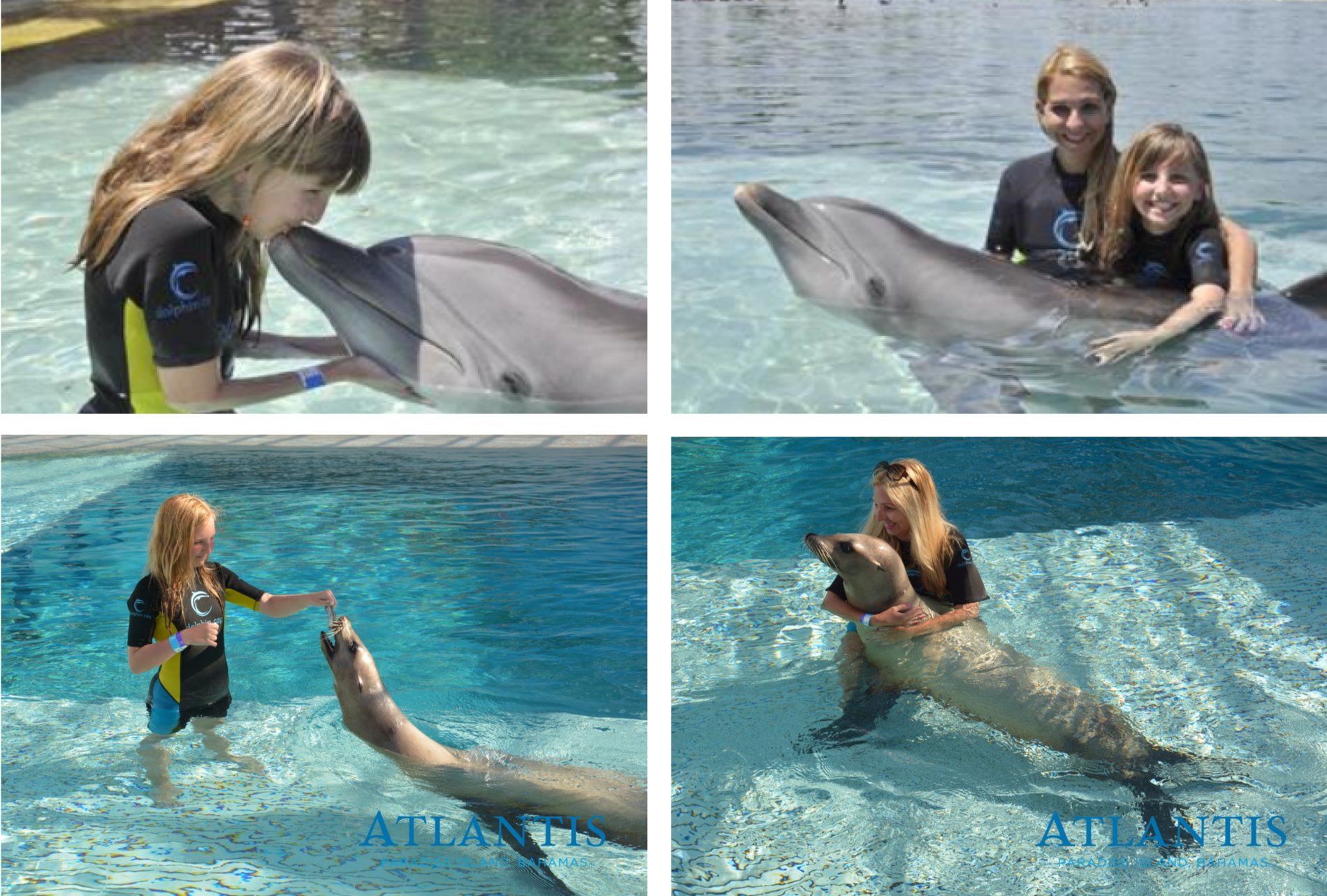 dolphin cay.png