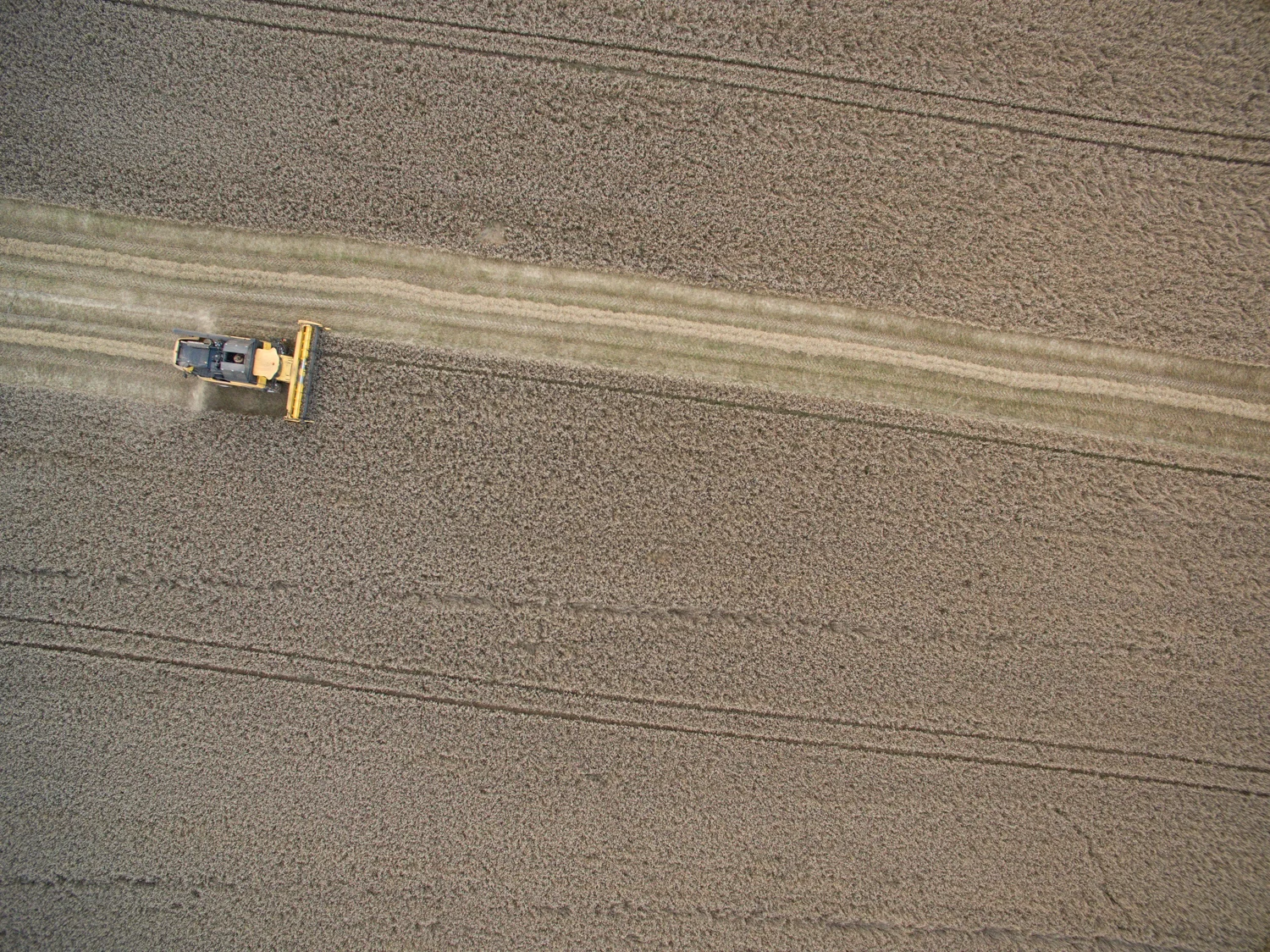 Harvesting