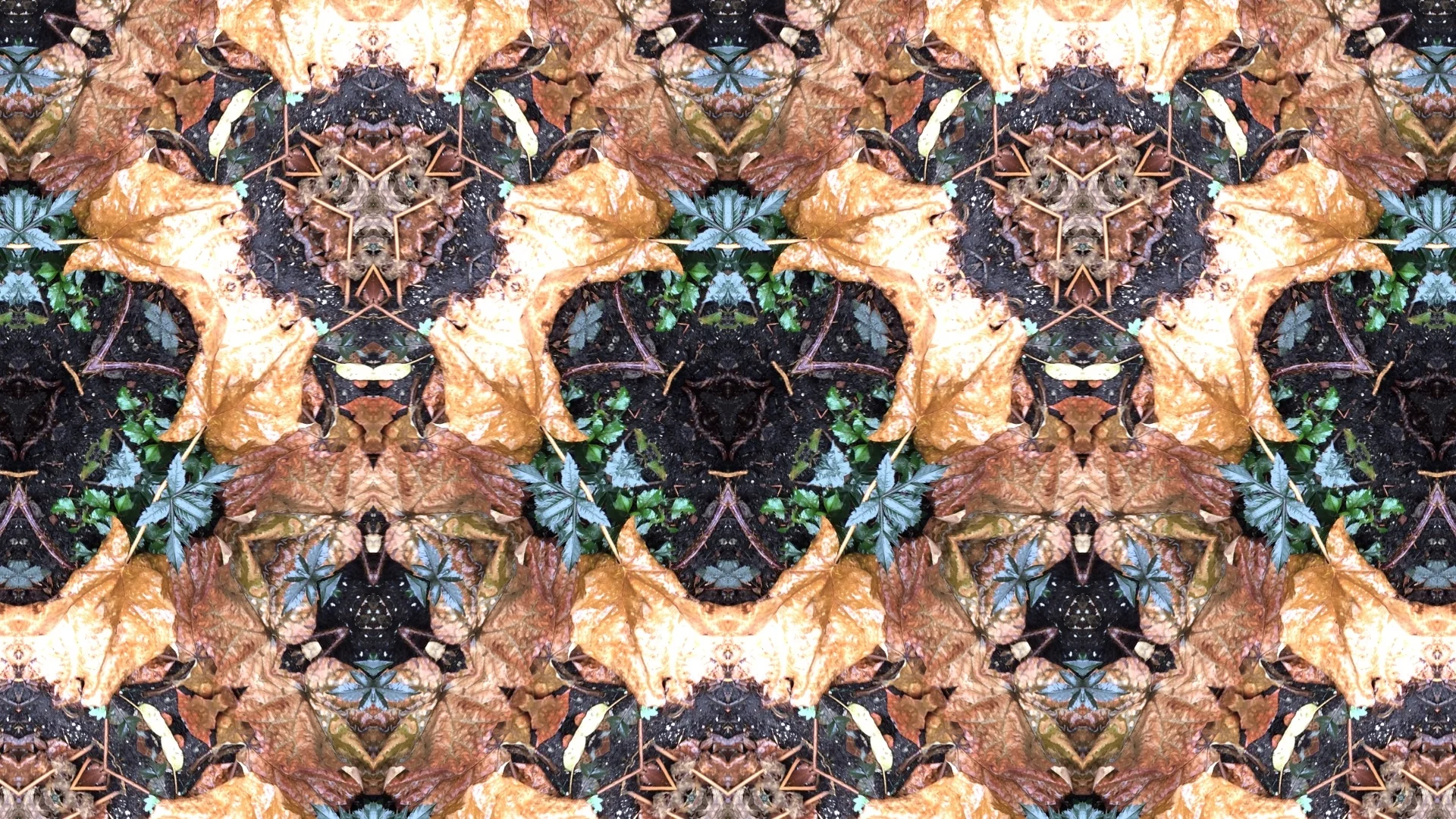 THANKSGIVING & GRATITUDE - A NON-EXHAUSTIVE GUIDE