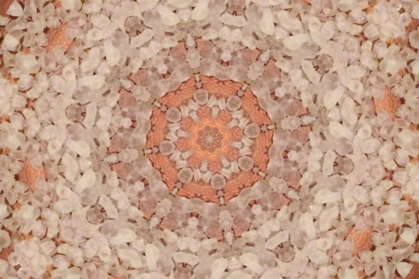 CAN BAKING SODA REALLY REPLACE YOUR ENTIRE BEAUTY ROUTINE?