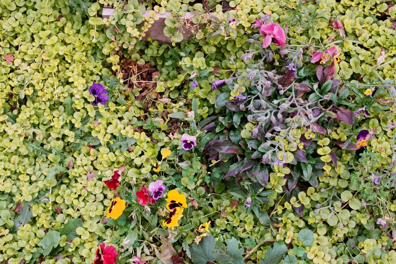 "I'M A VEGAN" AND OTHER OFFENSIVE STATEMENTS