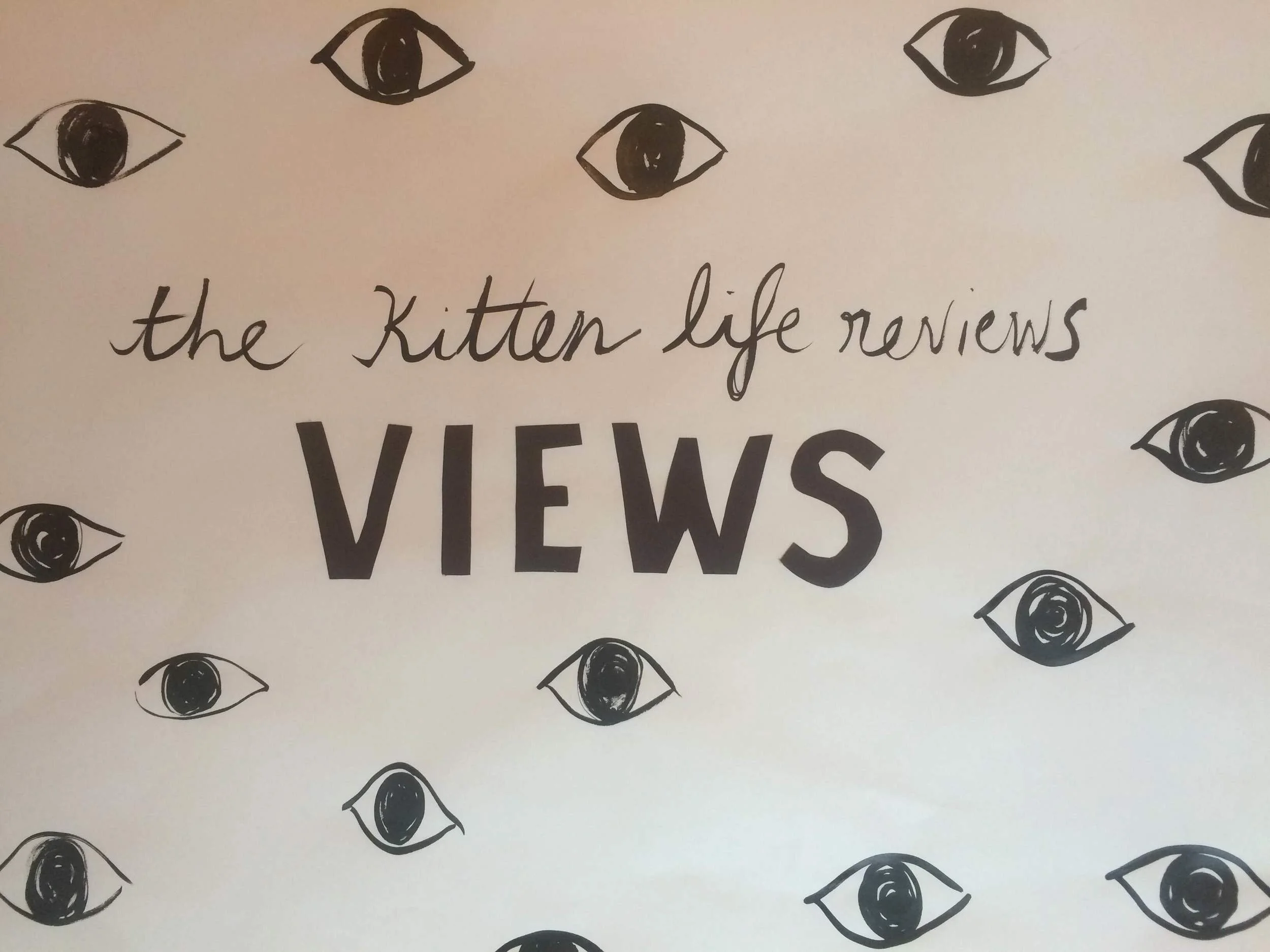 VIEWS BY DRAKE - A KITTEN LIFE REVIEW