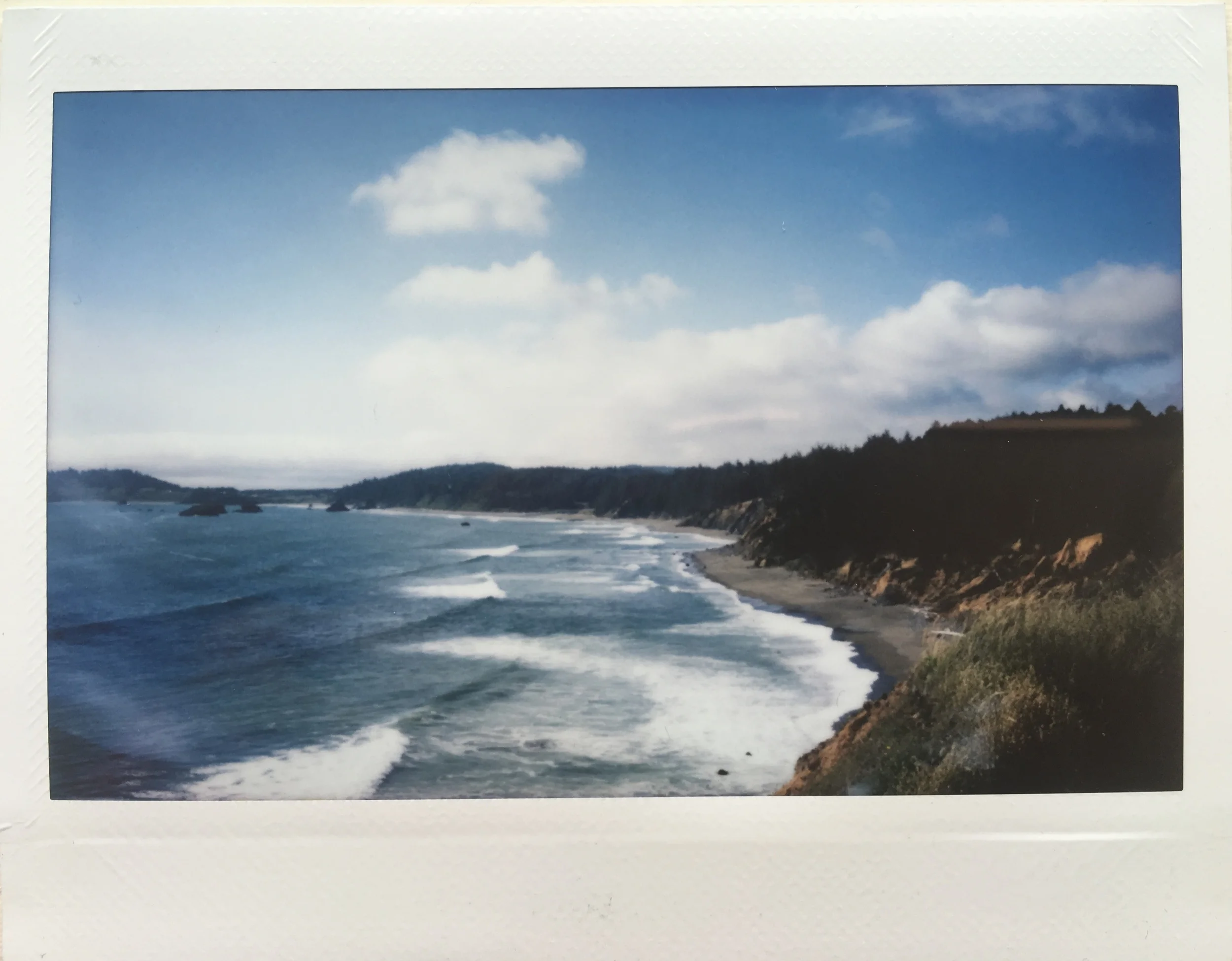 PORTLAND MICRO BREWERIES & FOOD: A KITTEN LIFE REVIEW