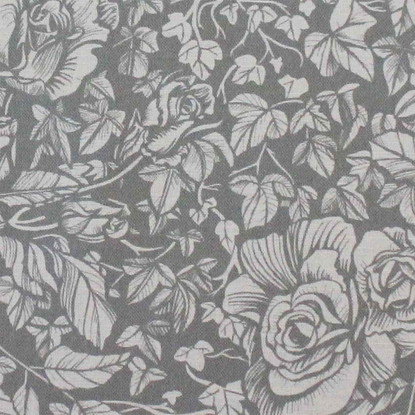 SH Curiosityflats_0015_Layer 2.jpg