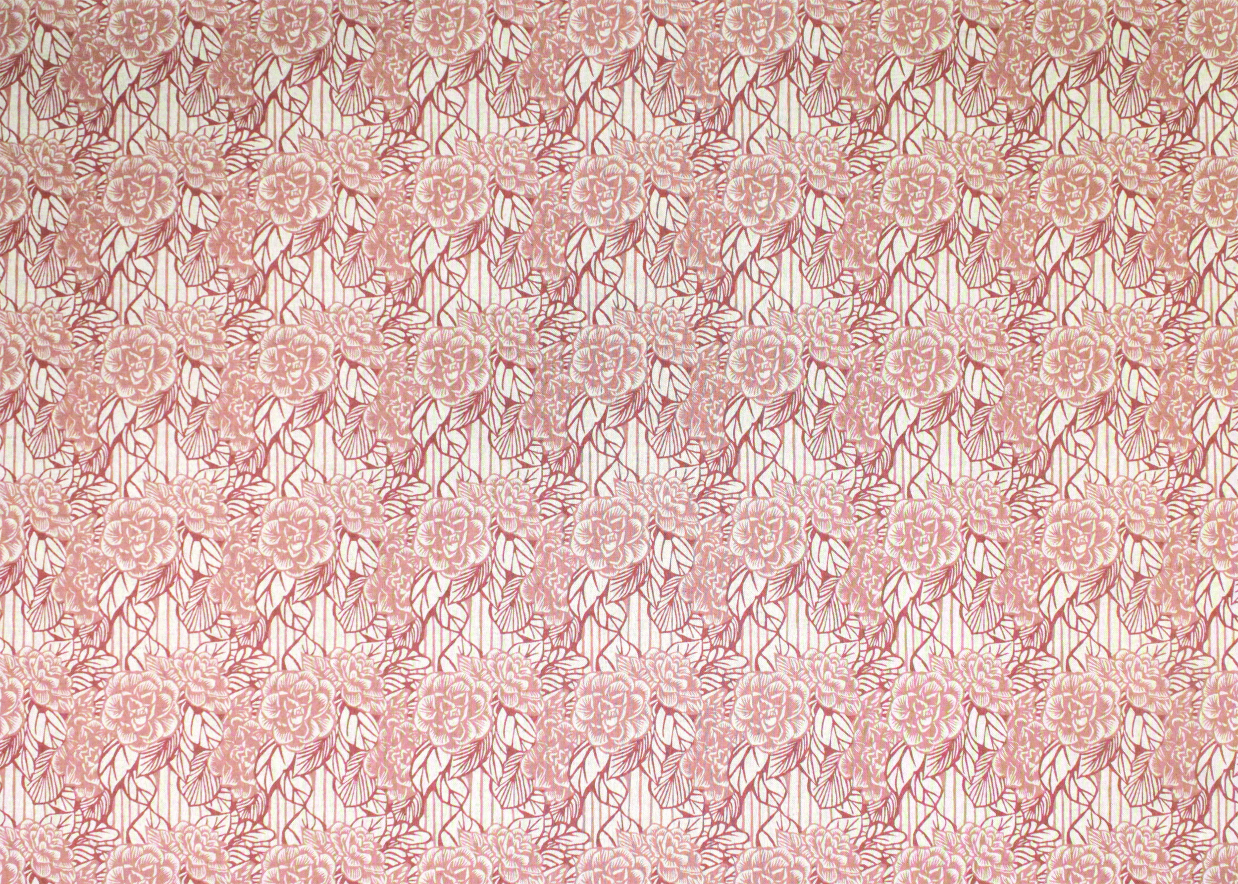 Camellia Blush in full