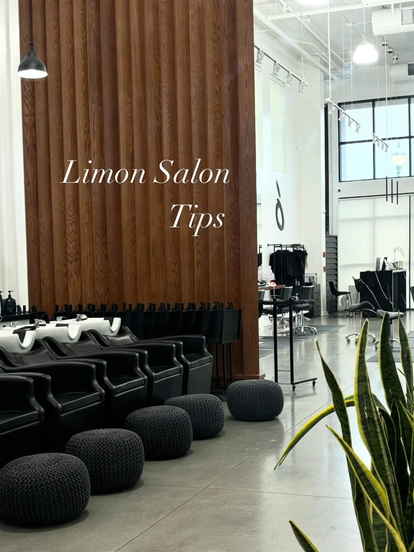 Behind every great style is great prep. 
Clarify, protect, and elevate with K18 and Shu Uemura because strong, healthy hair is always in style. ✨

Ready for your best hair yet?
Book your appointment at Limon Salon!

 #hairtips #walnutcreekhairstylist