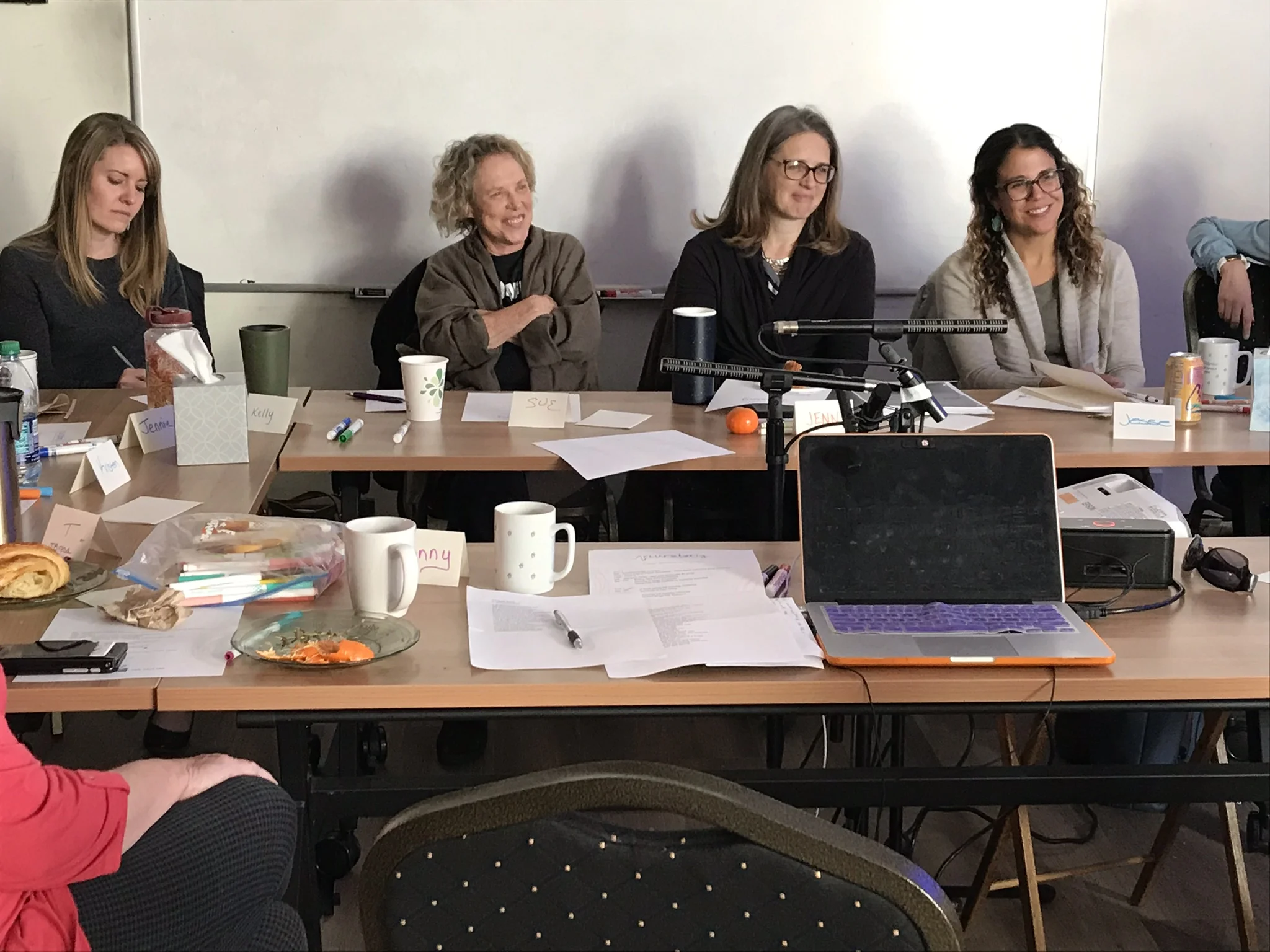 Nurse-Family Partnership 