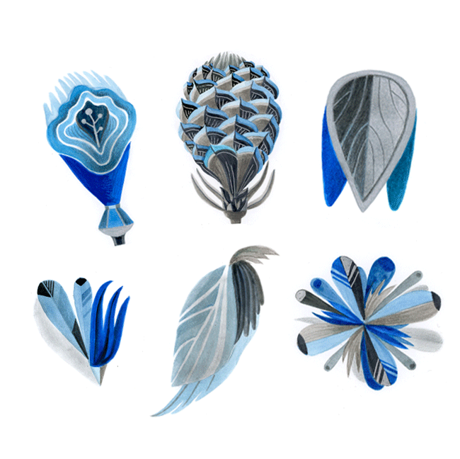 seed-pods-feathers-B.gif