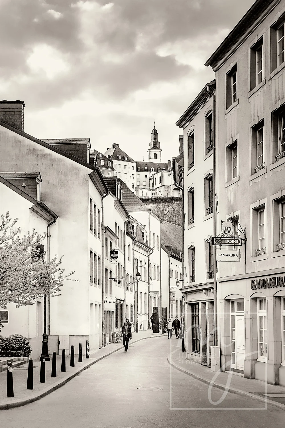 Rue Münster In Bloom