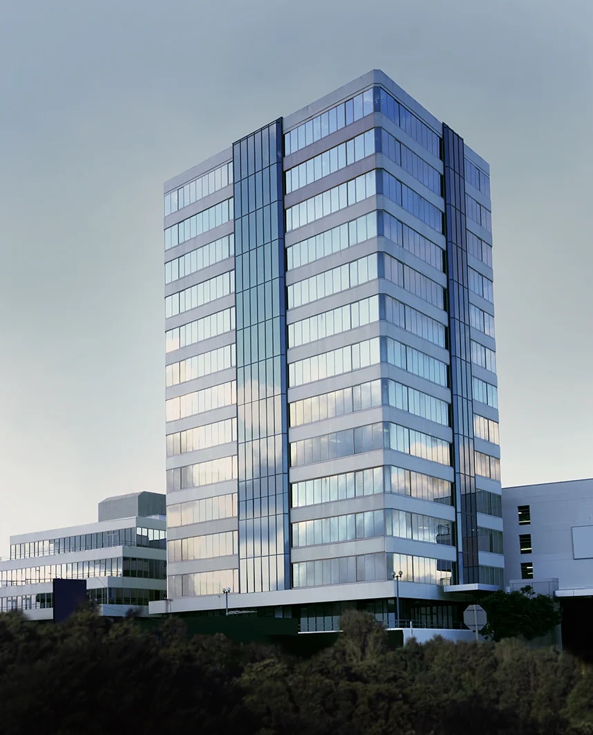 Mauve Structure, 2010