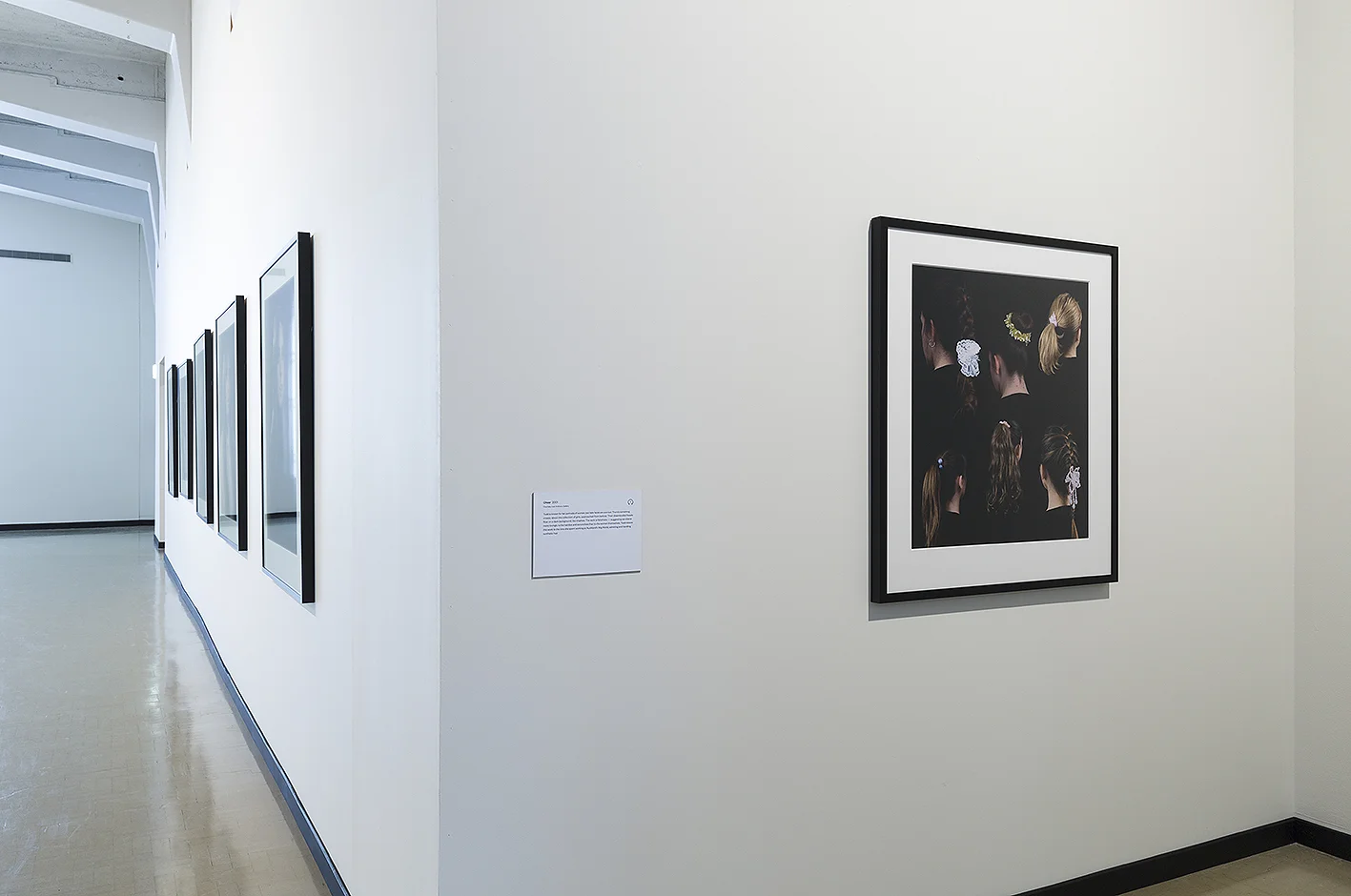 Installation views, Creamy Psychology, City Gallery Wellington, 2015