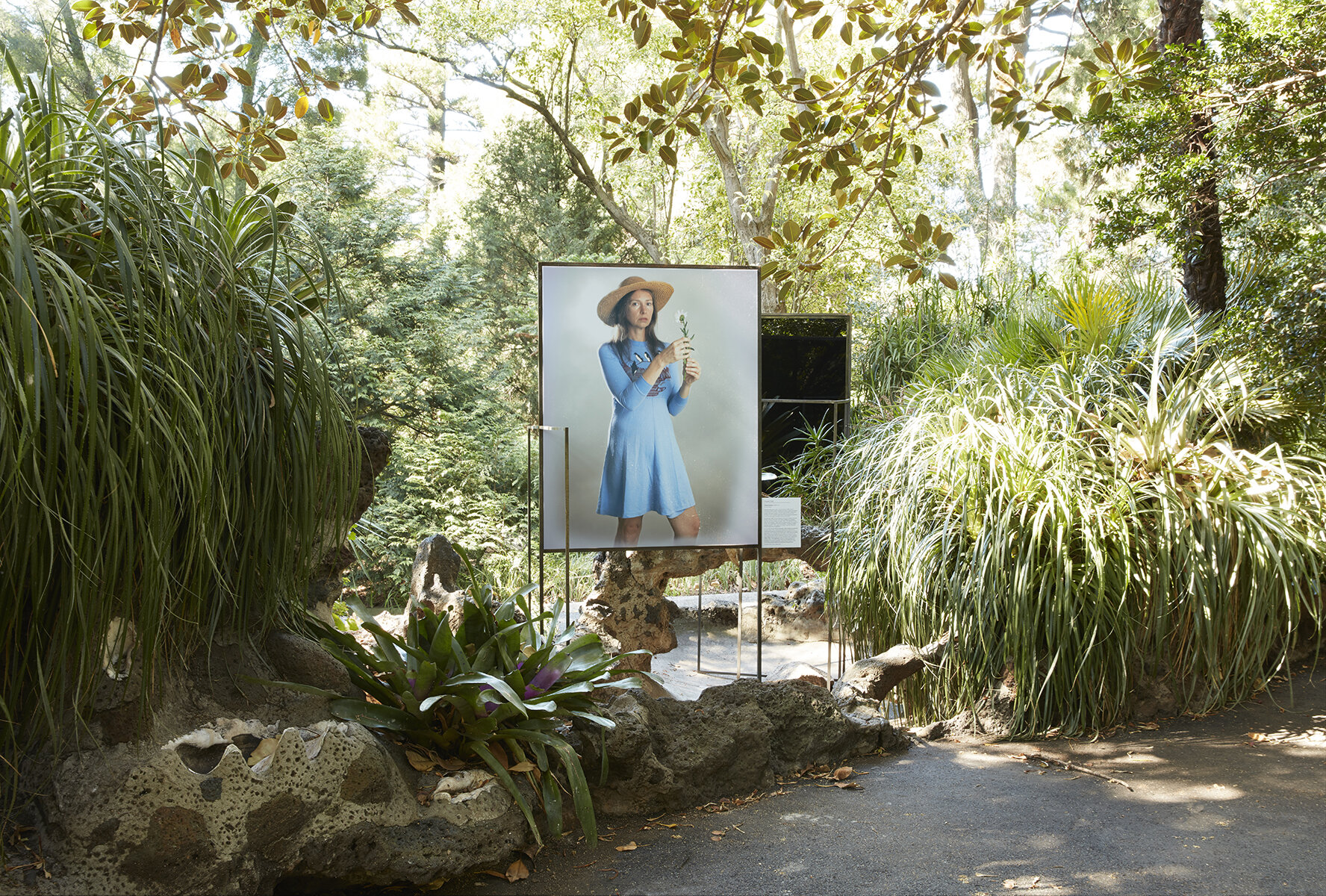  This series was commissioned by Royal Botanic Gardens Victoria as part of PHOTO 2021 International Festival of Photography. Installation images by Zan Wimberley. 