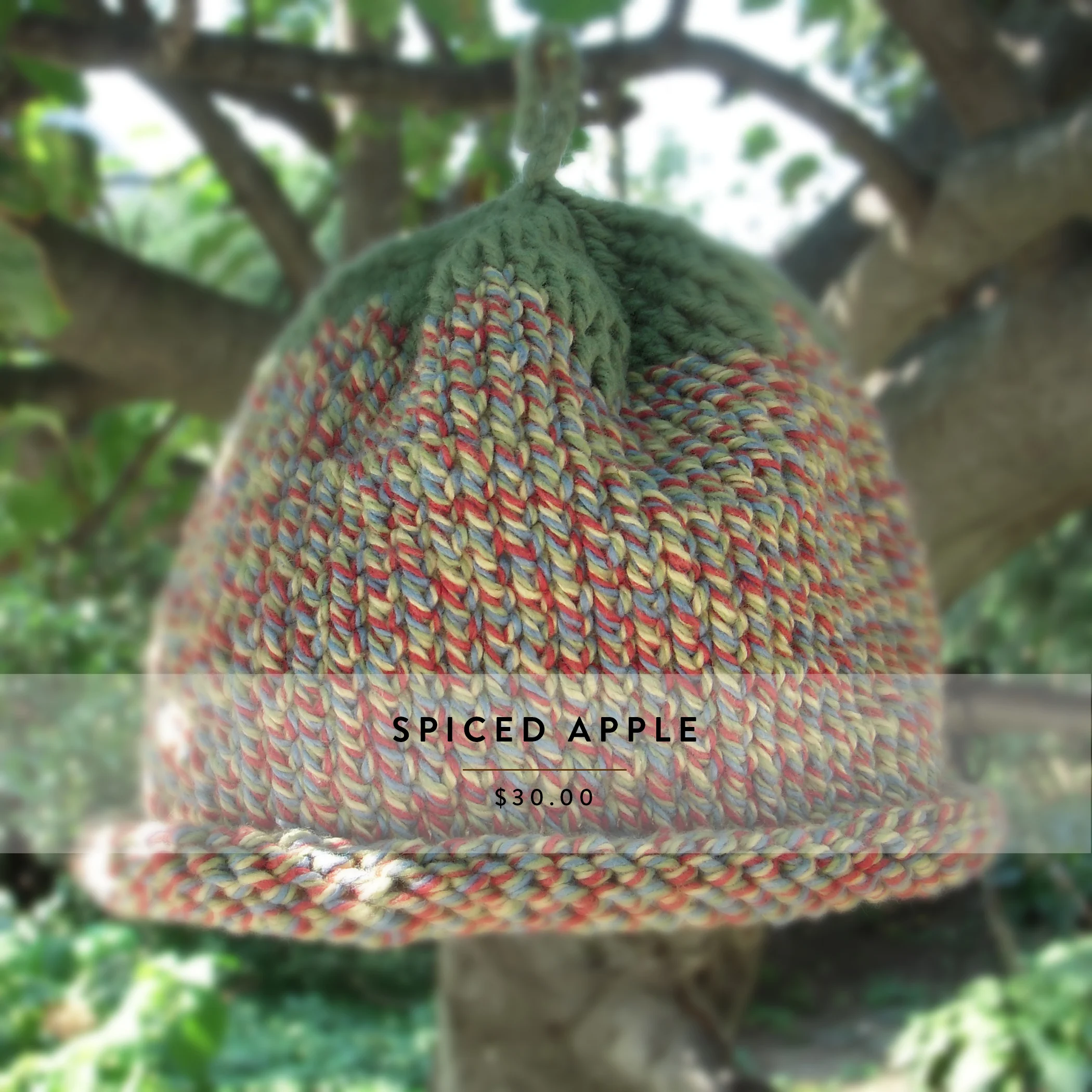 Cinnamon Spiced Apple.JPG