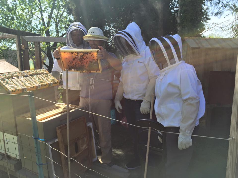 Beginning Beekeeper's Mentorship Bundle, New Beekeepers Lessons