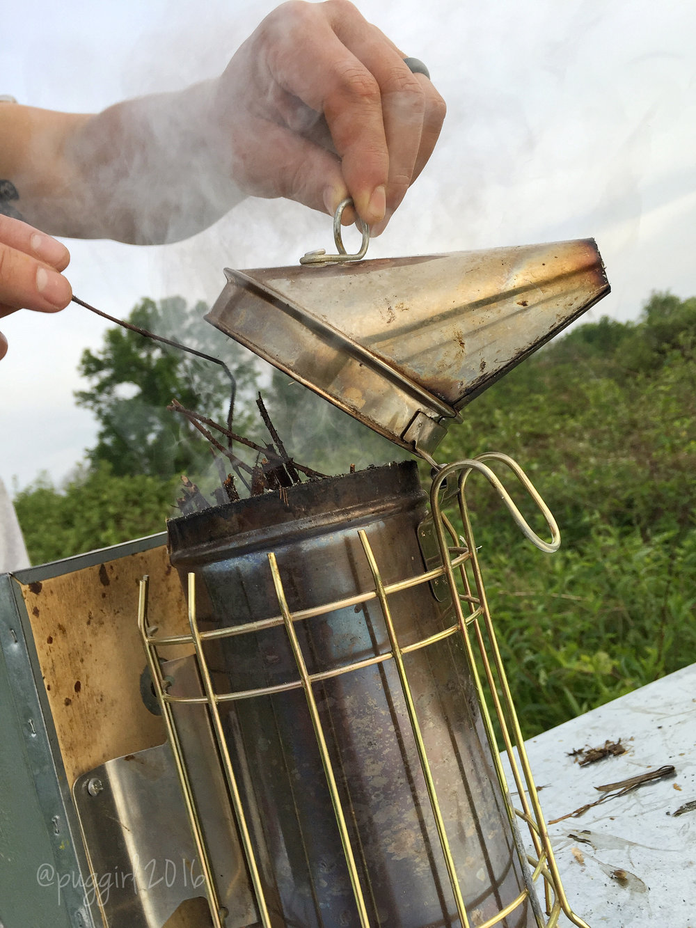 bee smoker close up.jpg