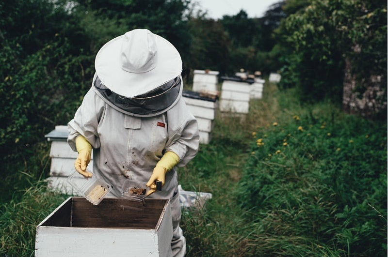 Ohio Beekeepers Find Different Ways to Get Hives Through the