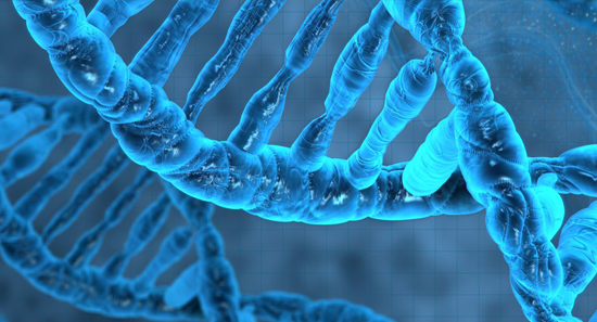 Aelan Cell Technologies