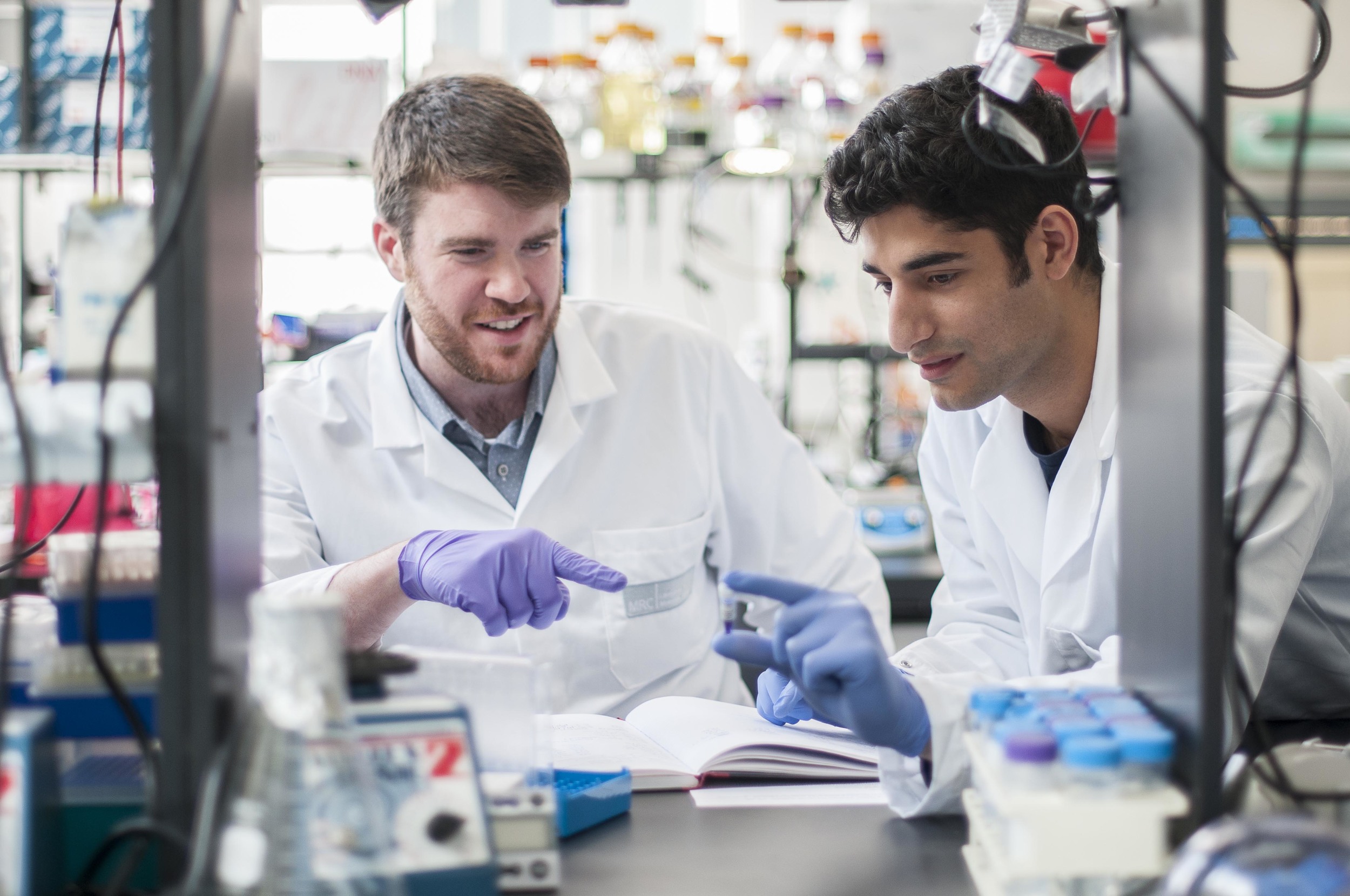 Aelan Cell Technologies