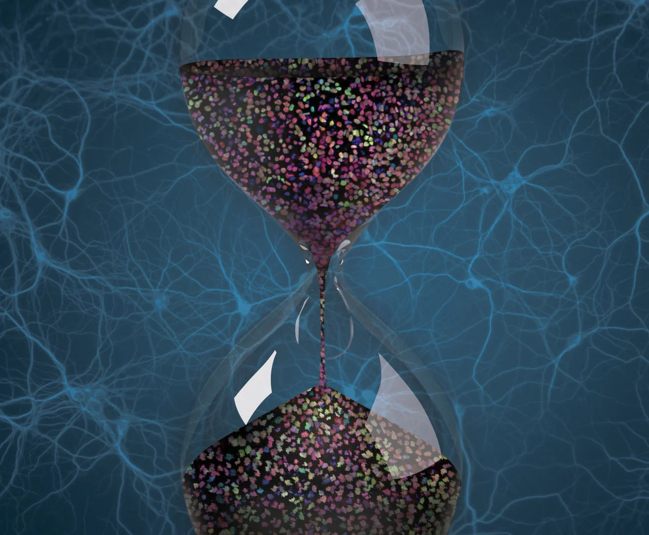 The Human Body Is in a State of Constant Flux